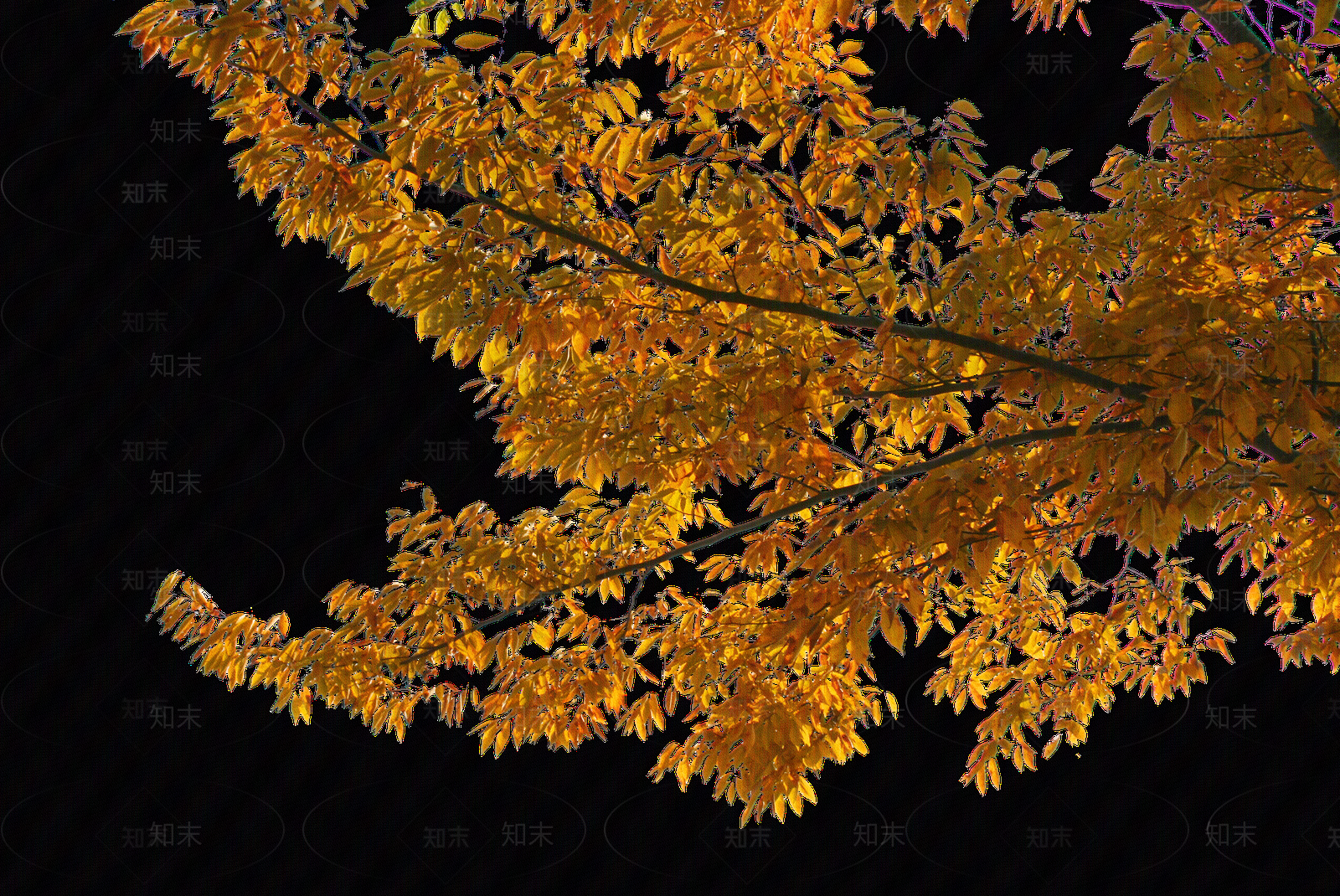 现代外立面贴图下载【ID:1173613913】