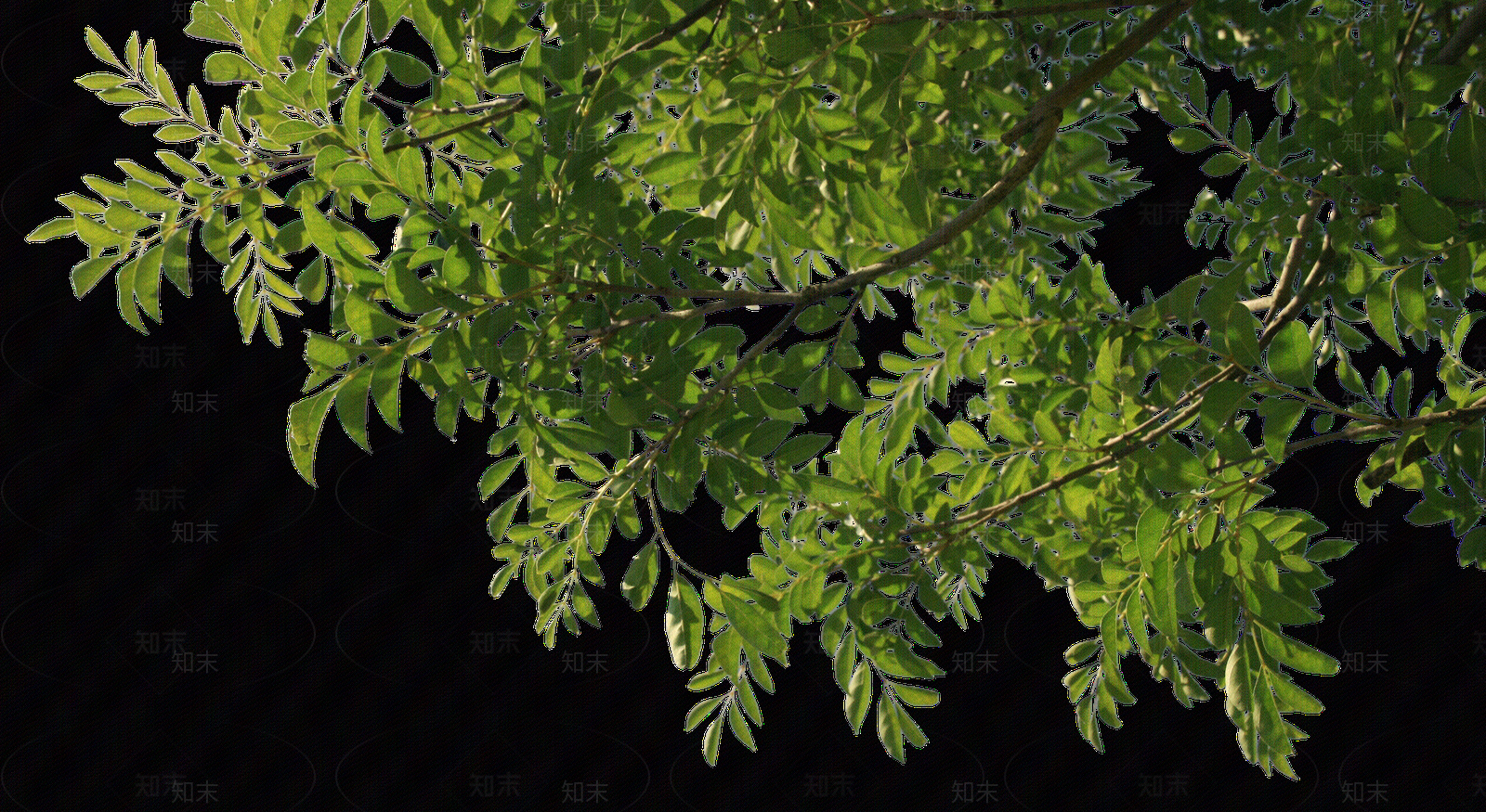 现代外立面贴图下载【ID:1173616736】