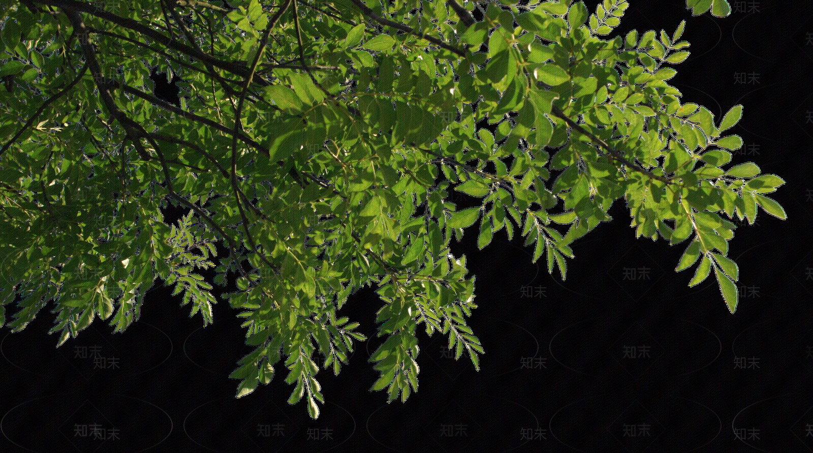 现代外立面贴图下载【ID:1173616938】