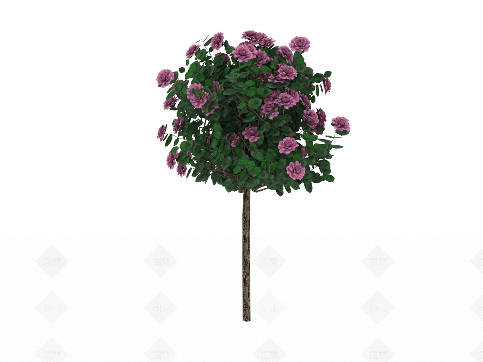 植物组合SU模型下载【ID:1173628688】