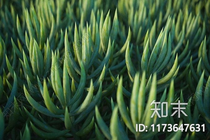 花草组合3D模型下载【ID:1173647631】