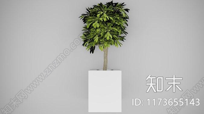 竹子3D模型下载【ID:1173655143】