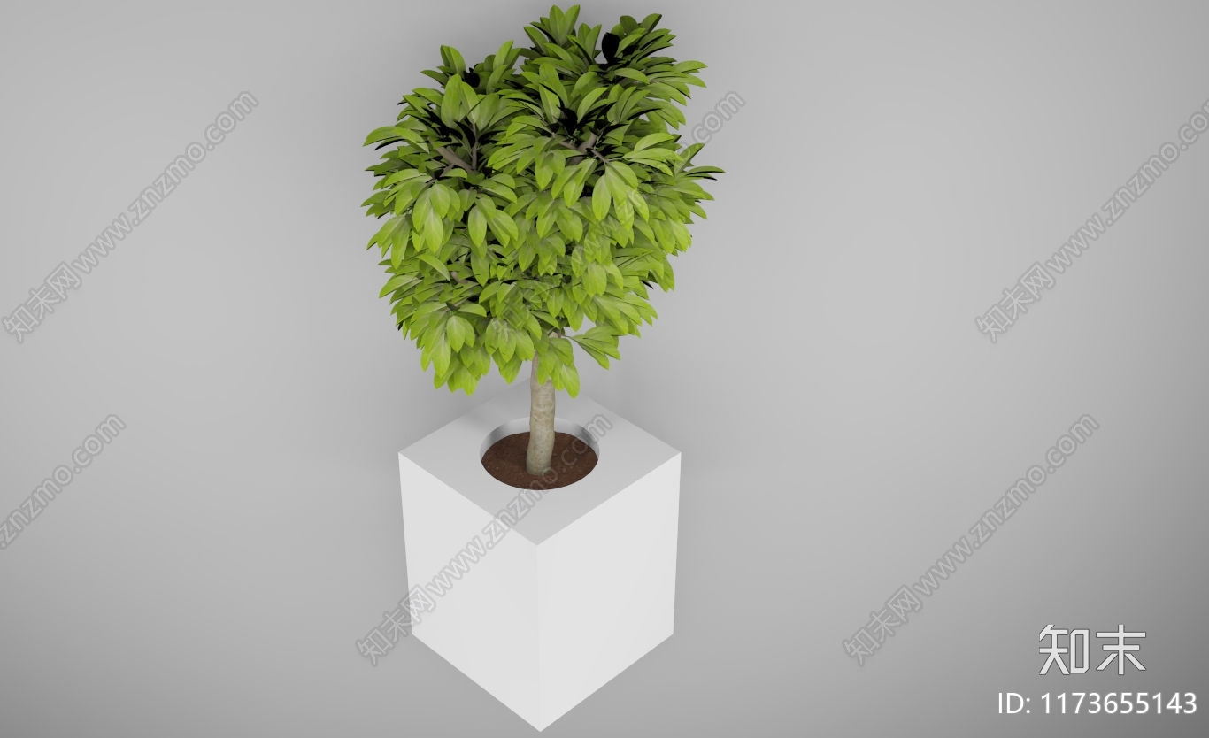 竹子3D模型下载【ID:1173655143】