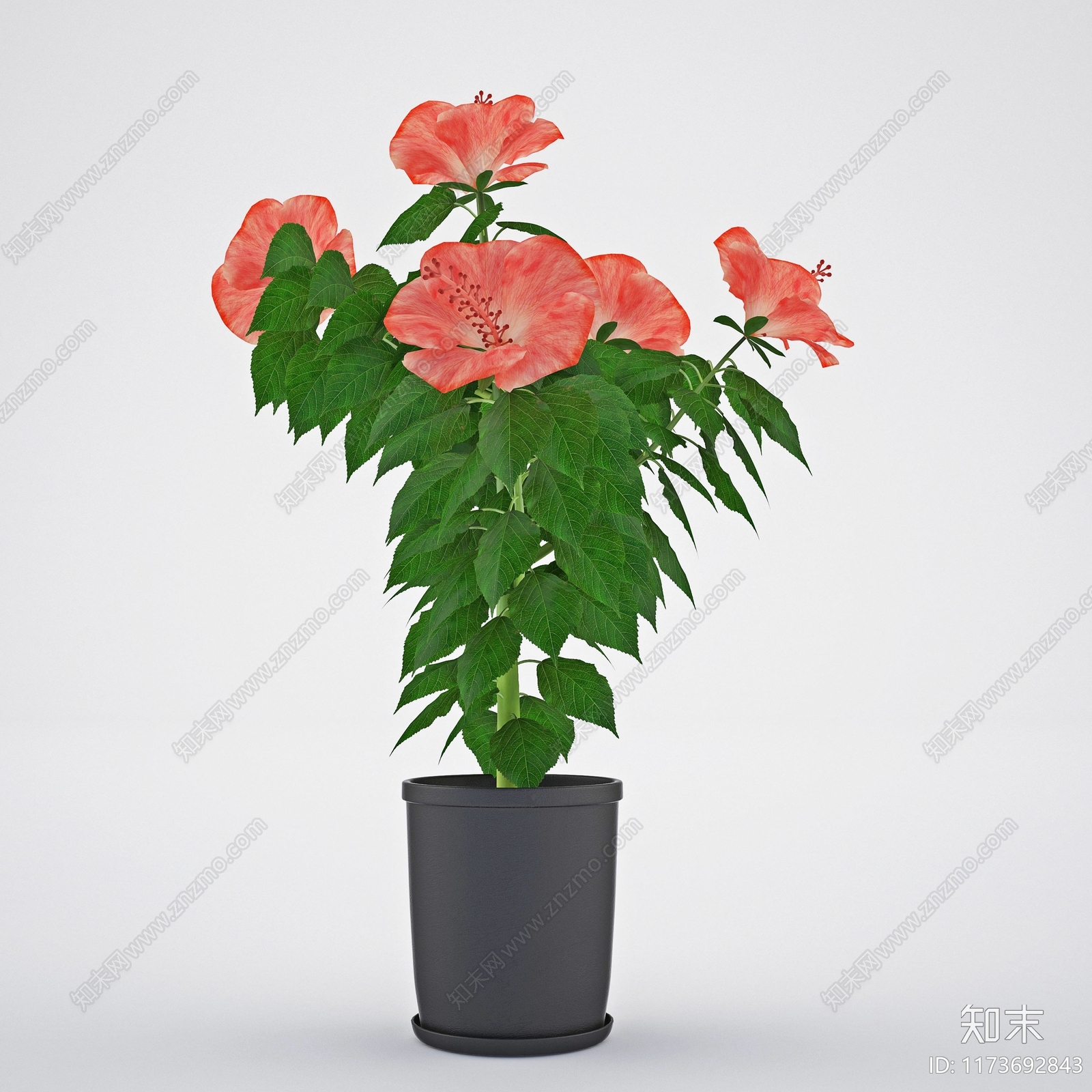 花盆3D模型下载【ID:1173692843】