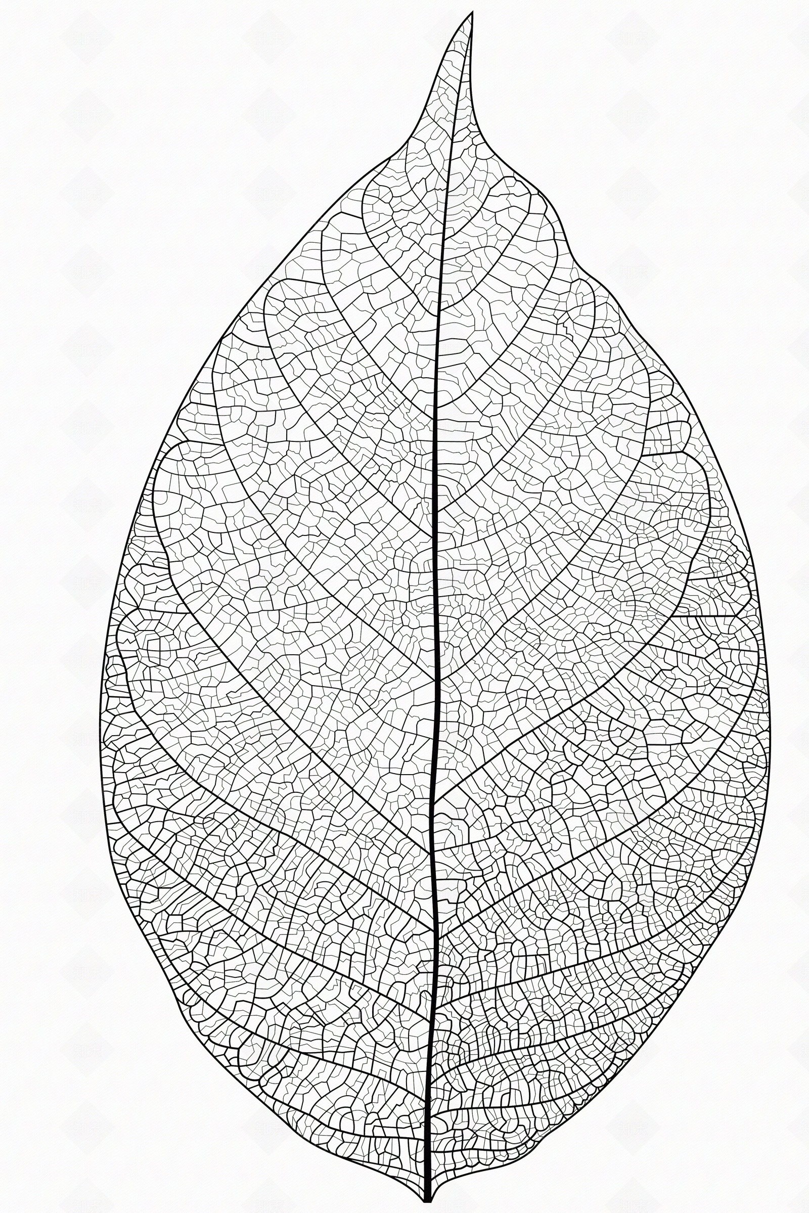 现代黑白凹凸贴图下载【ID:1173729137】