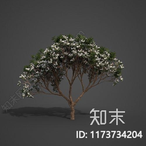 博古架3D模型下载【ID:1173734204】