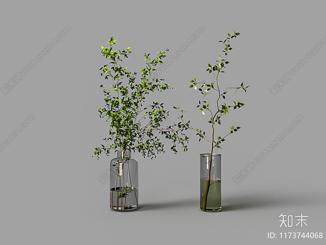 水生植物3D模型下载【ID:1173744068】