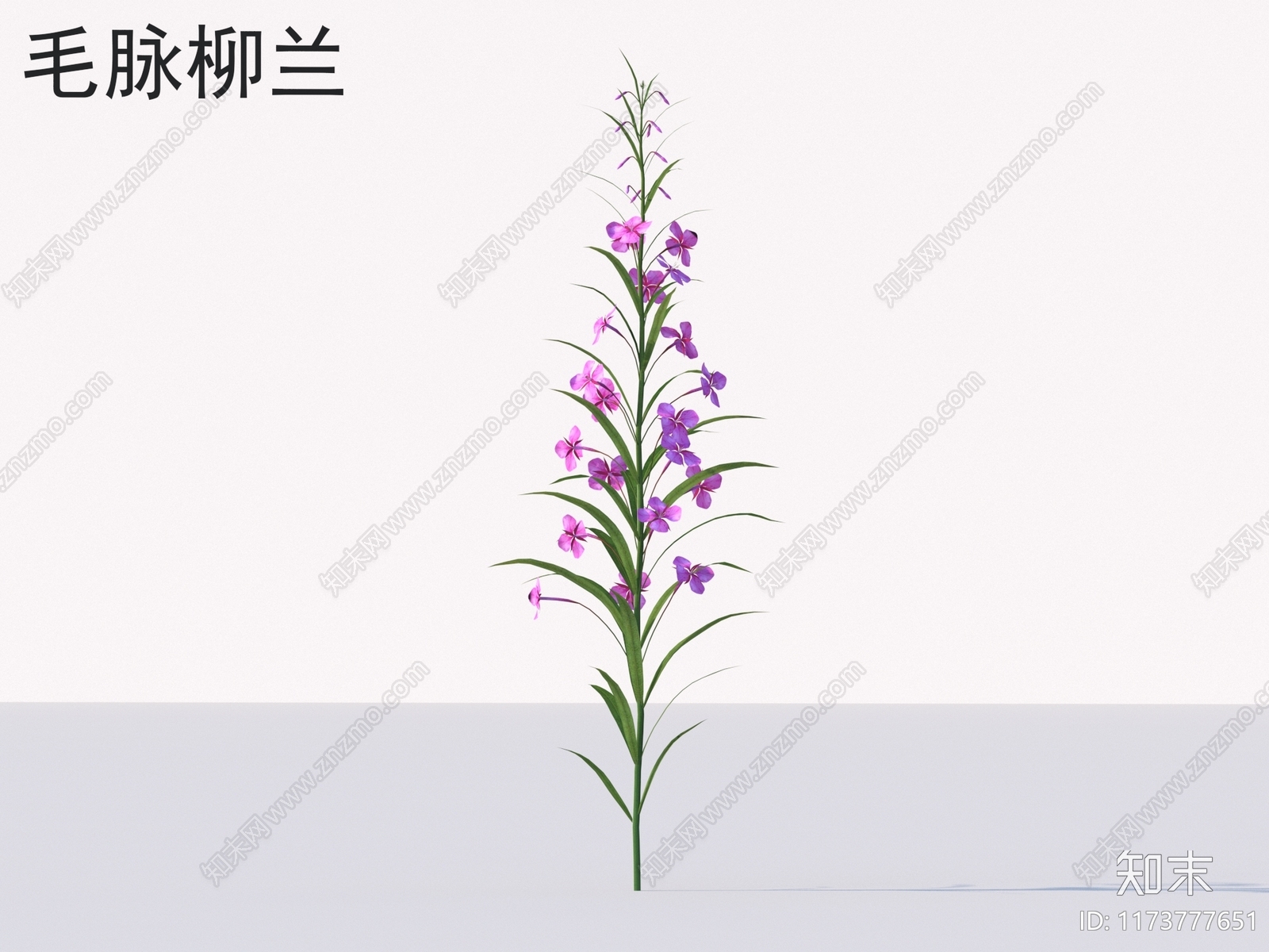 花3D模型下载【ID:1173777651】