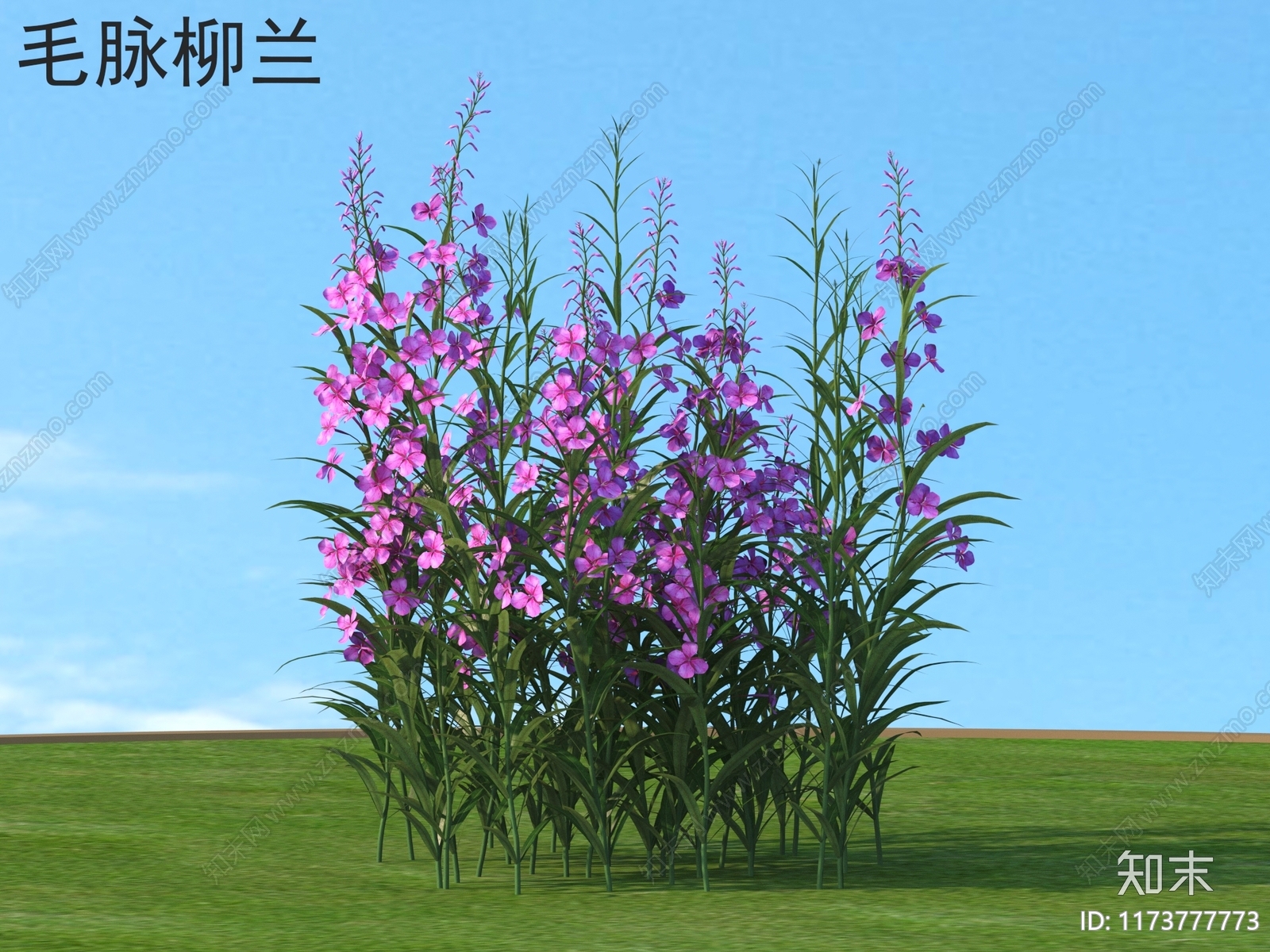 花3D模型下载【ID:1173777773】