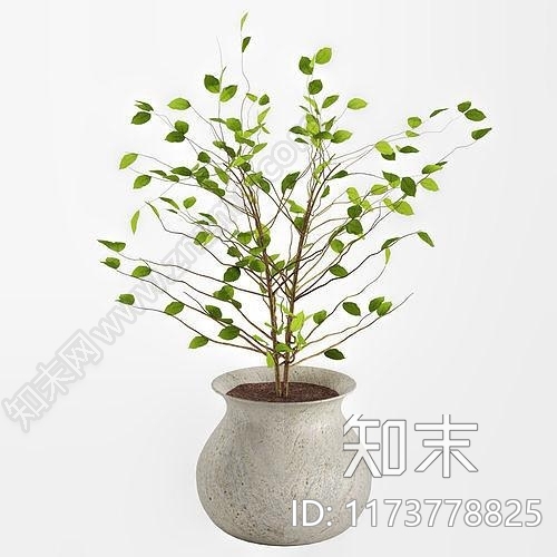 盆栽3D模型下载【ID:1173778825】