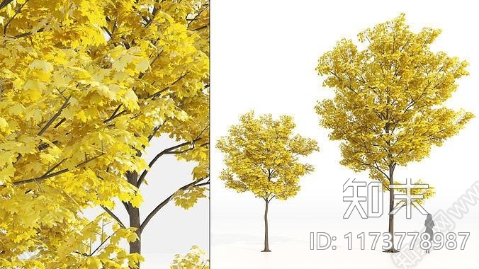 花3D模型下载【ID:1173778987】