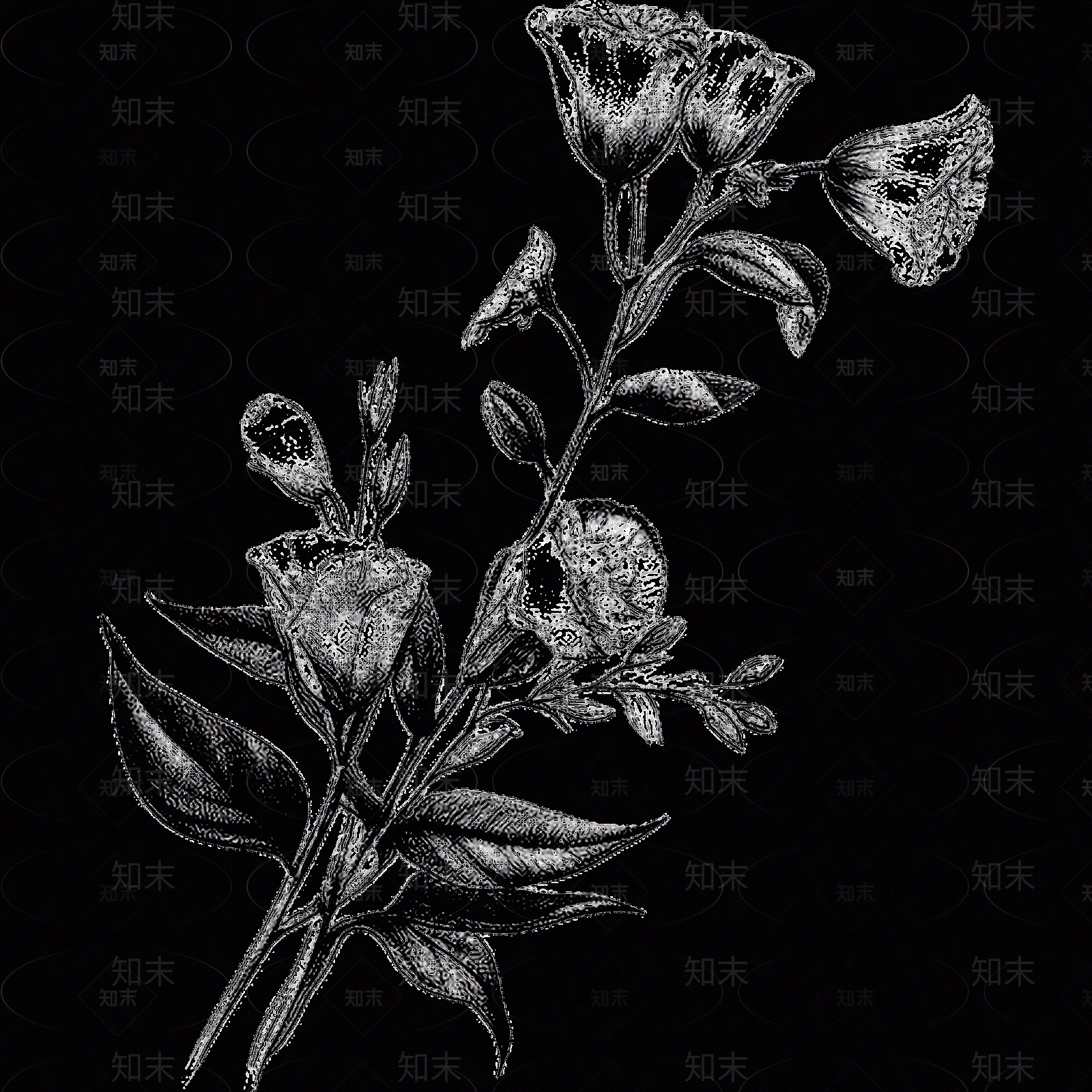 黑白凹凸贴图下载【ID:1173783301】