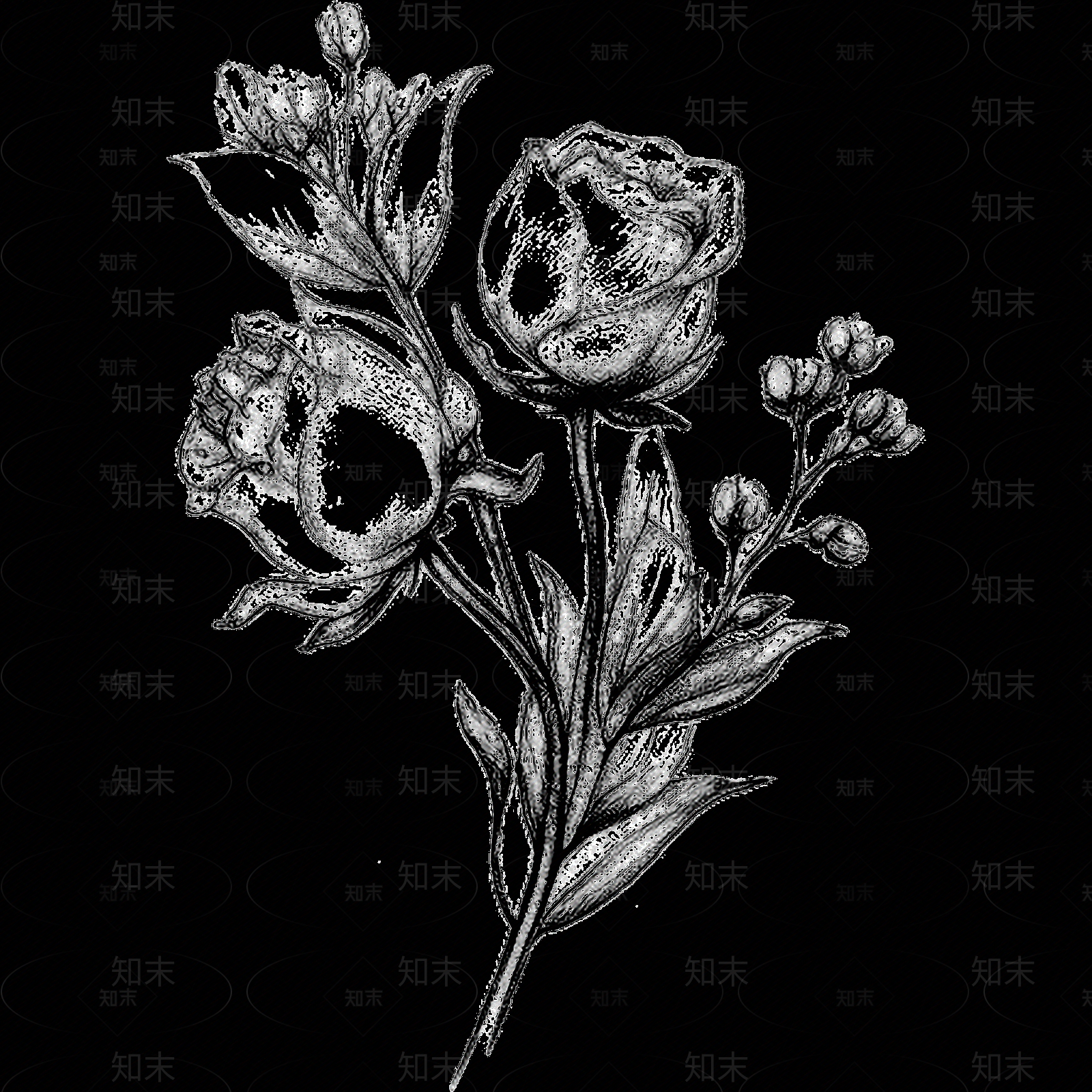 黑白凹凸贴图下载【ID:1173784953】