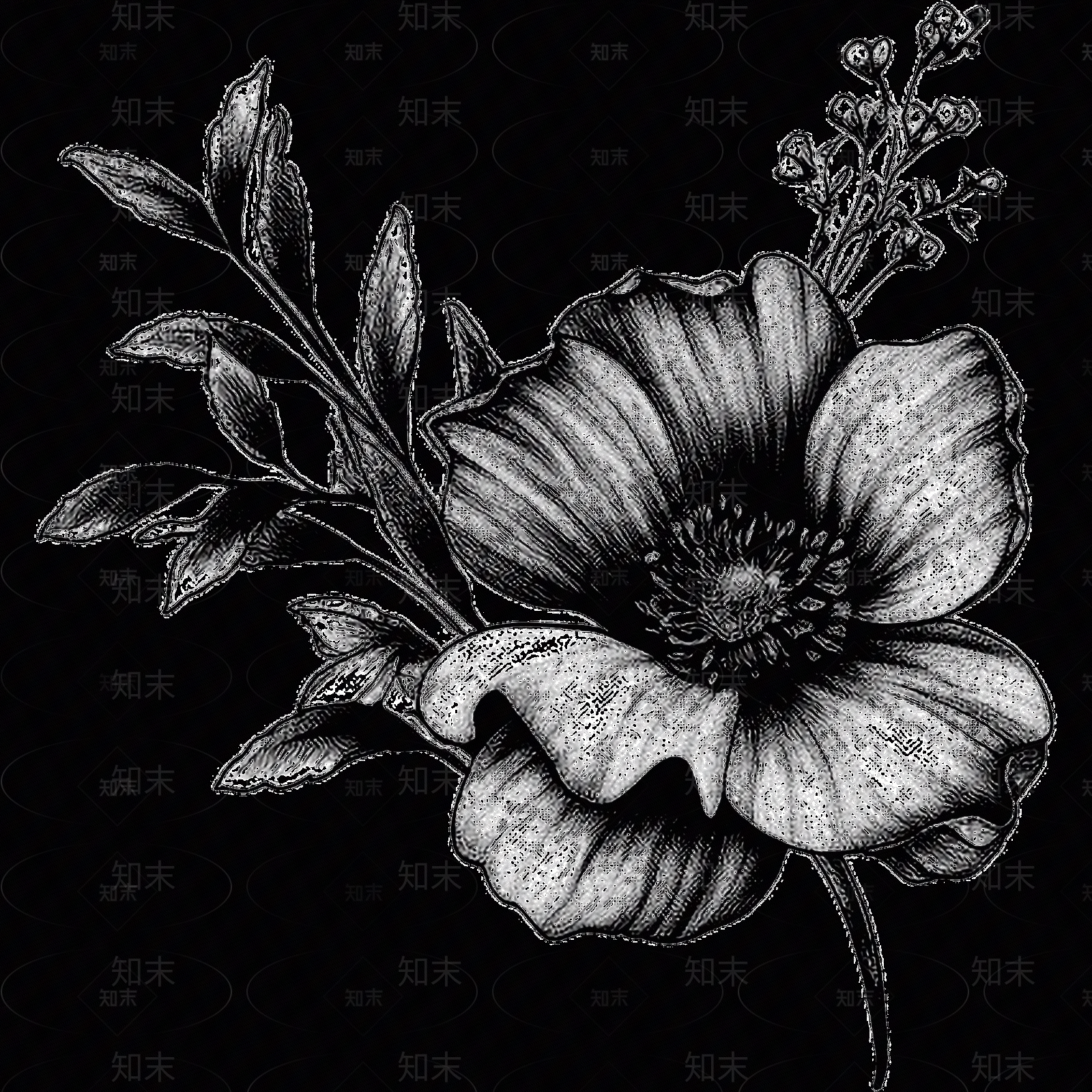 黑白凹凸贴图下载【ID:1173784966】