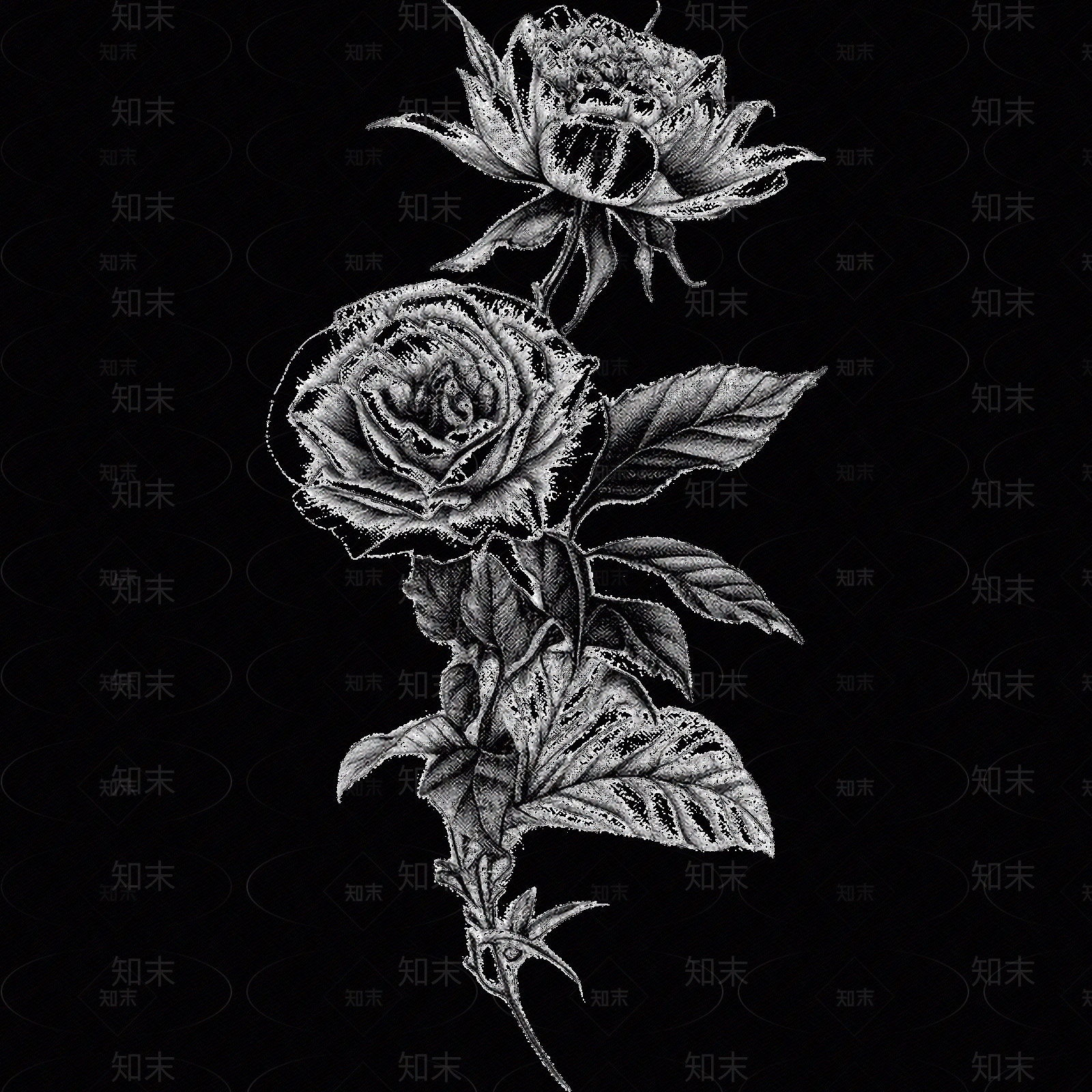 黑白凹凸贴图下载【ID:1173785329】