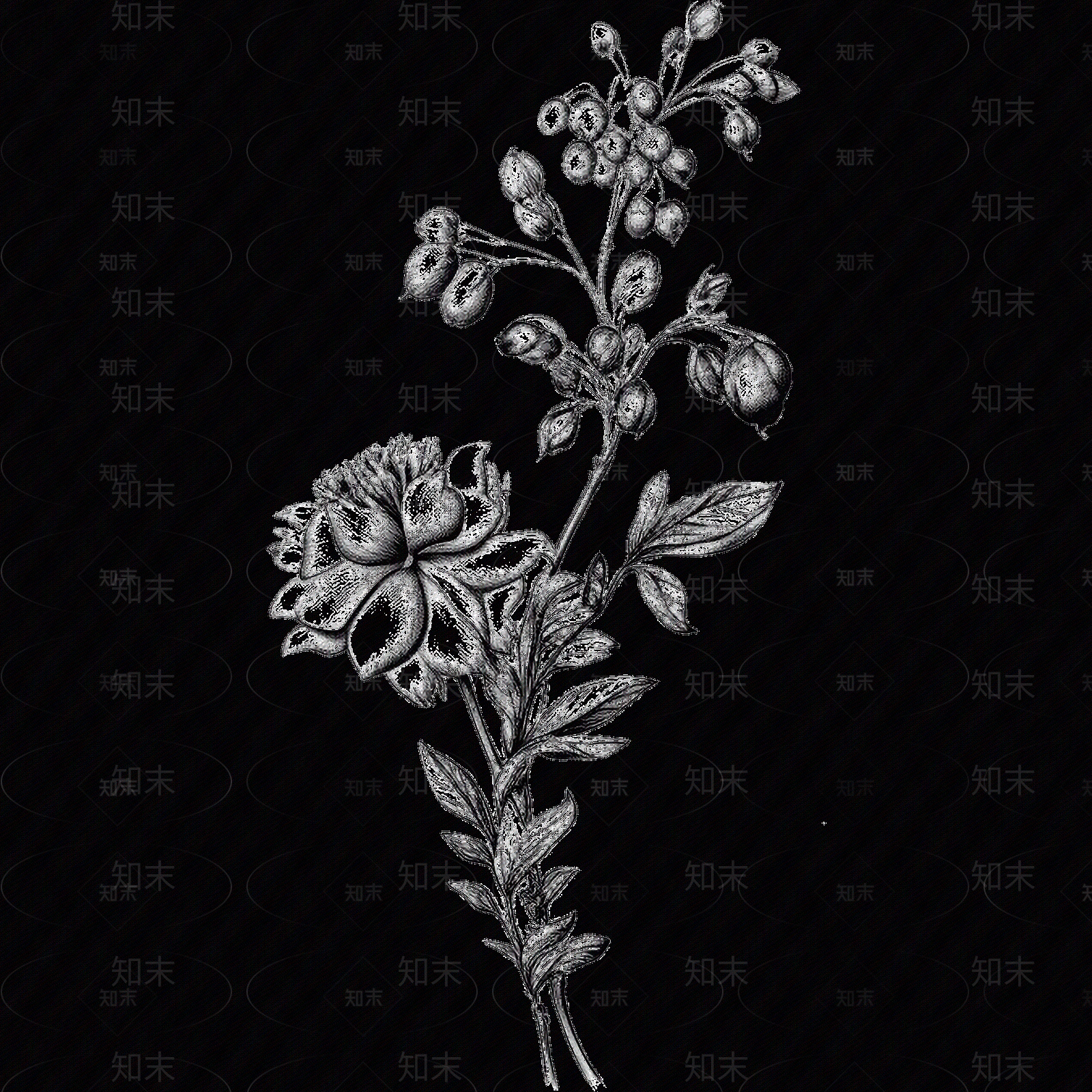 黑白凹凸贴图下载【ID:1173785475】