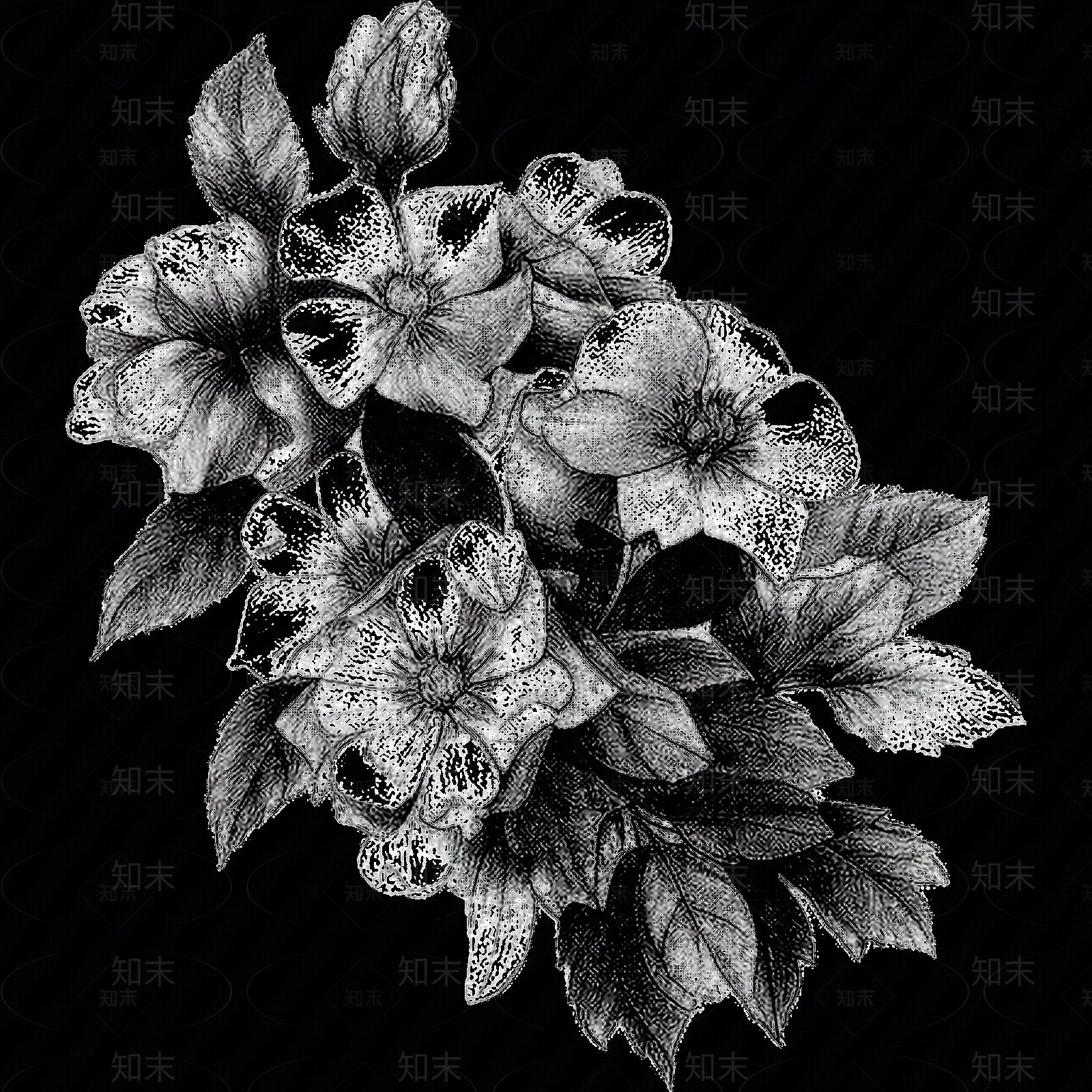 黑白凹凸贴图下载【ID:1173785745】