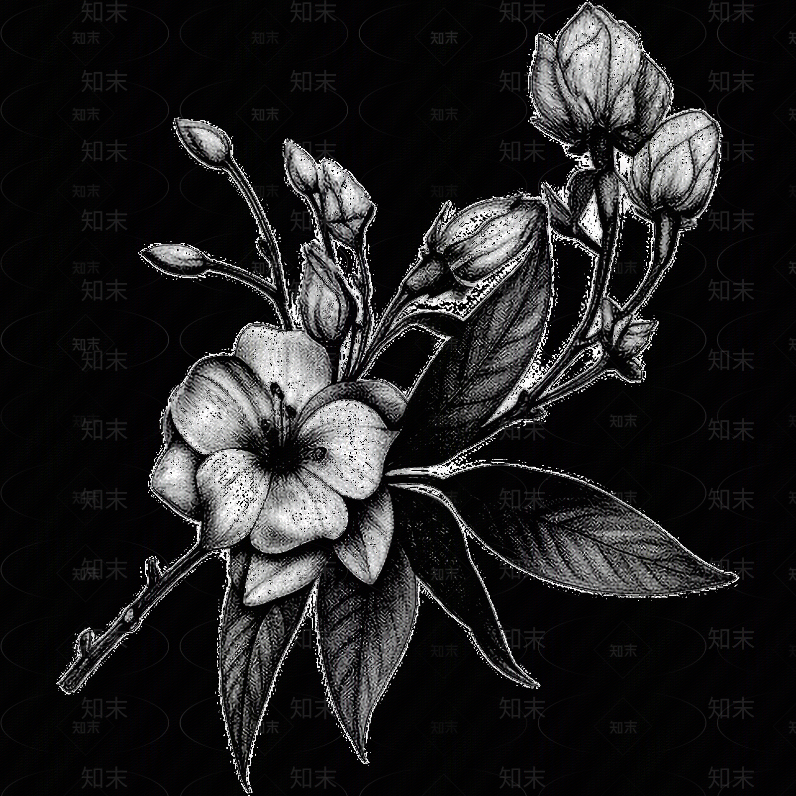 黑白凹凸贴图下载【ID:1173786096】