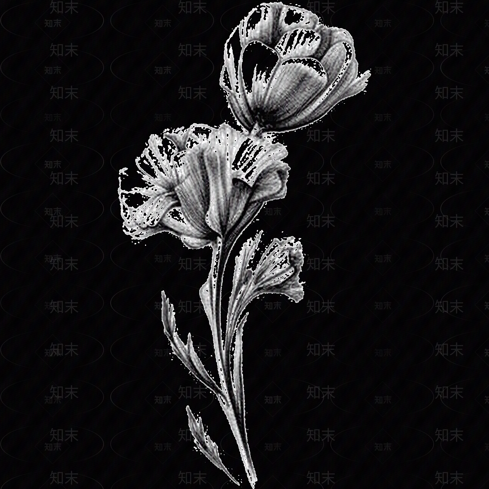 黑白凹凸贴图下载【ID:1173786157】