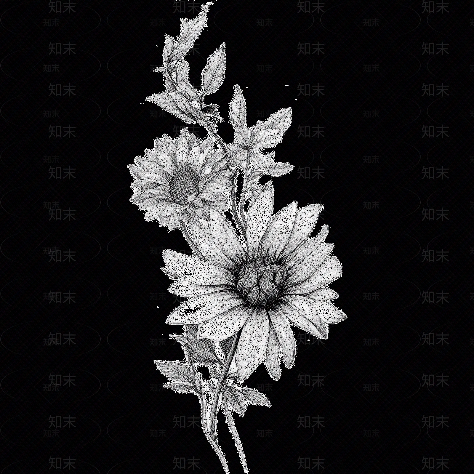 黑白凹凸贴图下载【ID:1173786311】