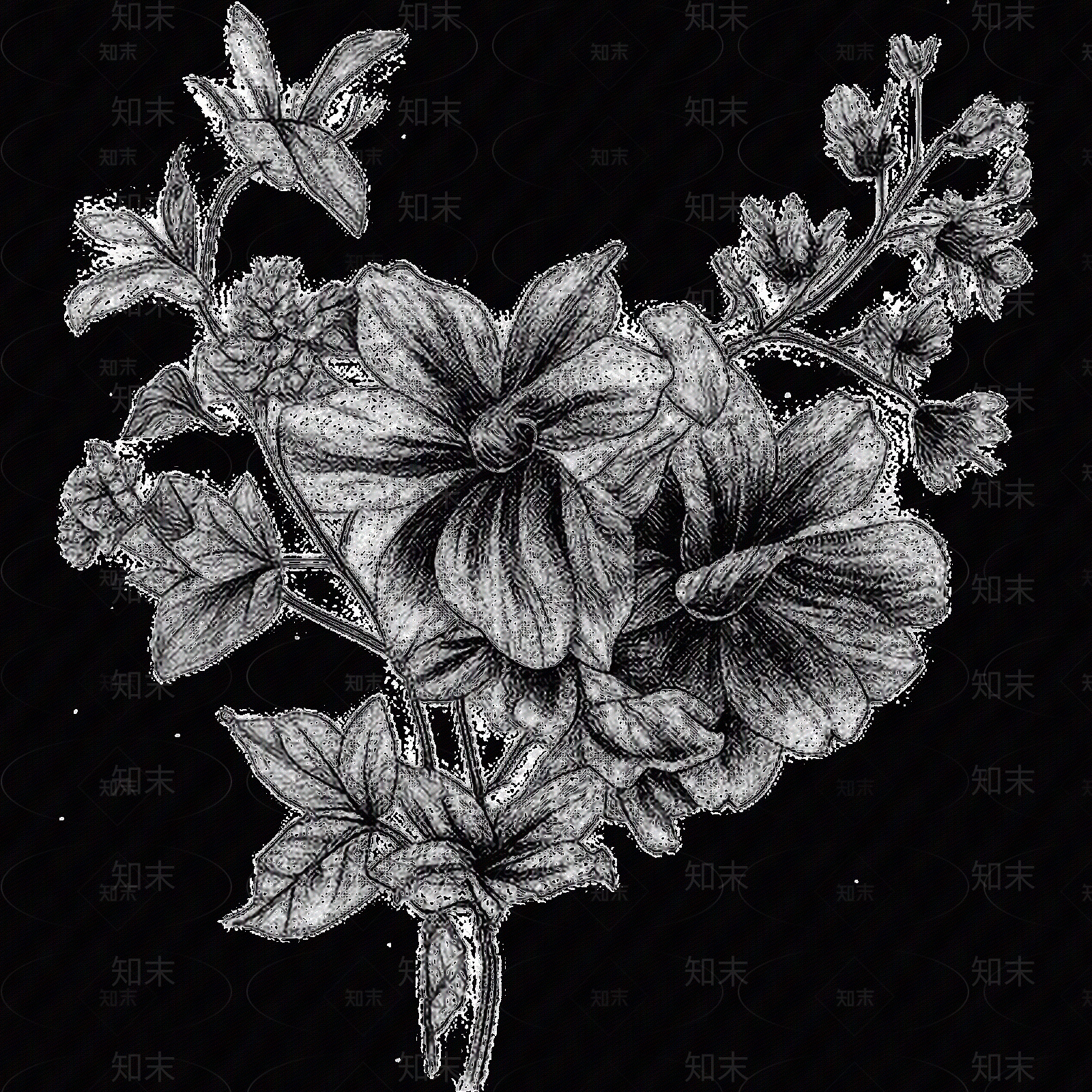 黑白凹凸贴图下载【ID:1173786431】