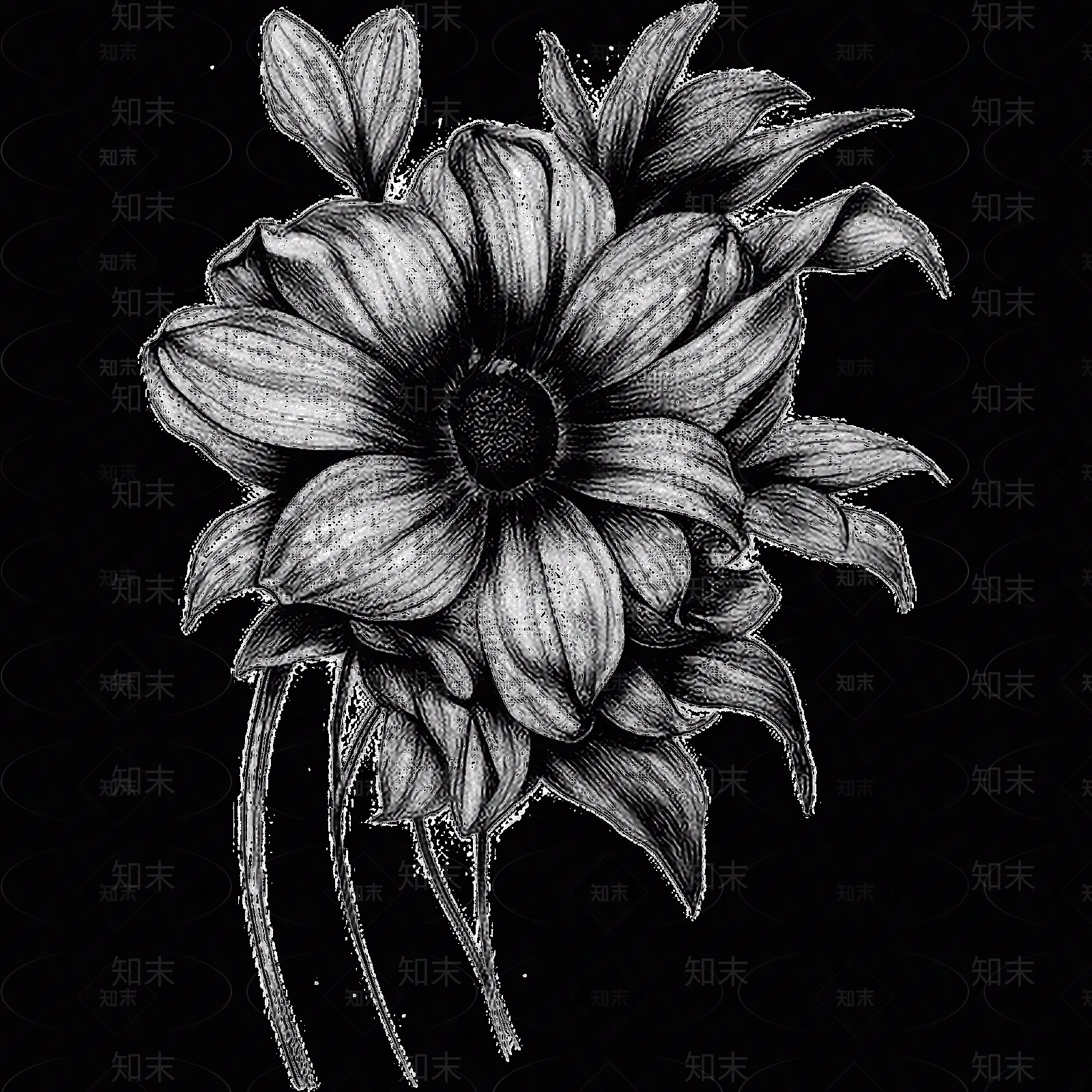 黑白凹凸贴图下载【ID:1173786520】