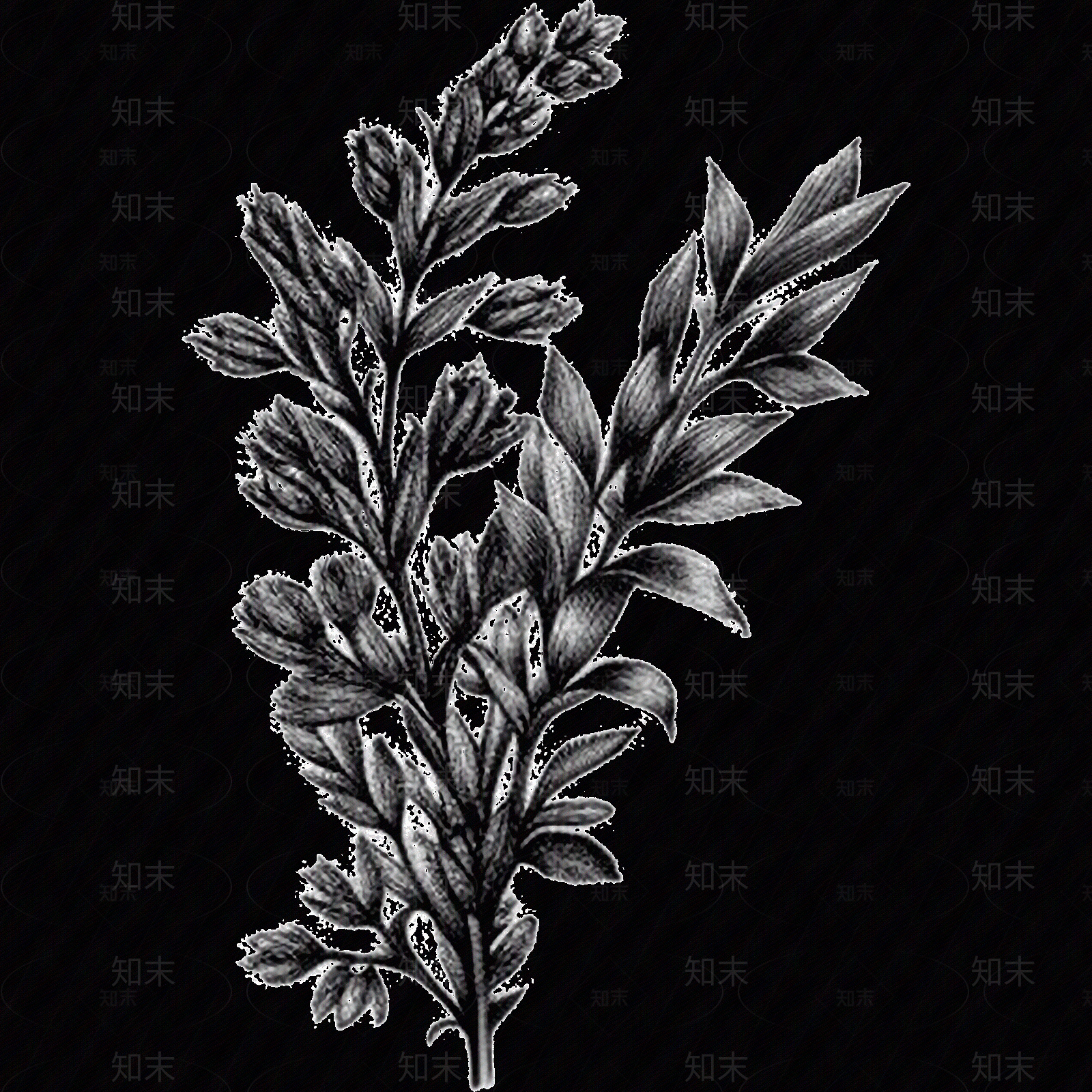 黑白凹凸贴图下载【ID:1173786695】