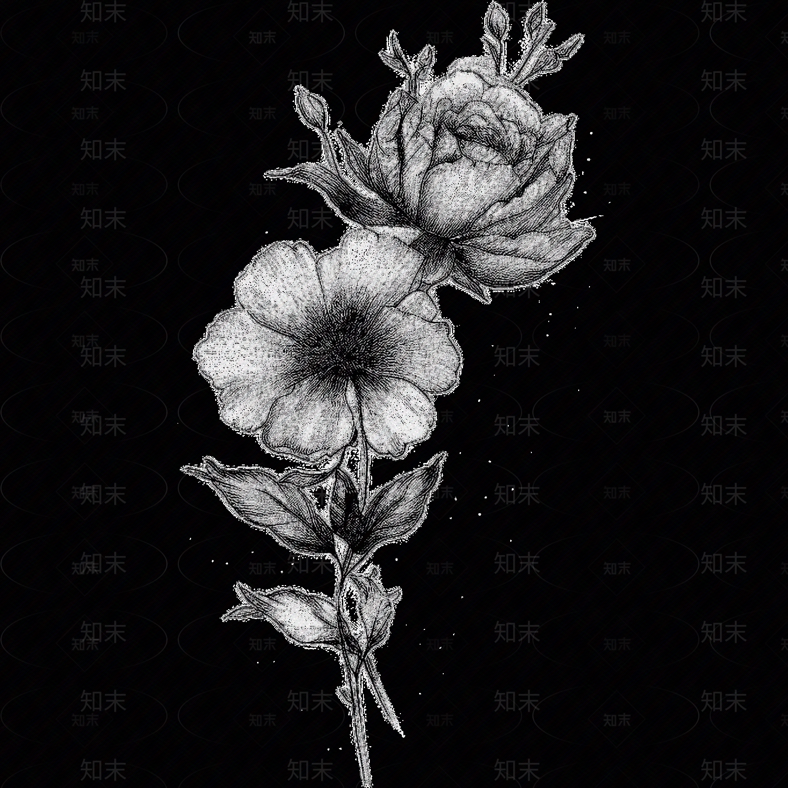 黑白凹凸贴图下载【ID:1173787113】