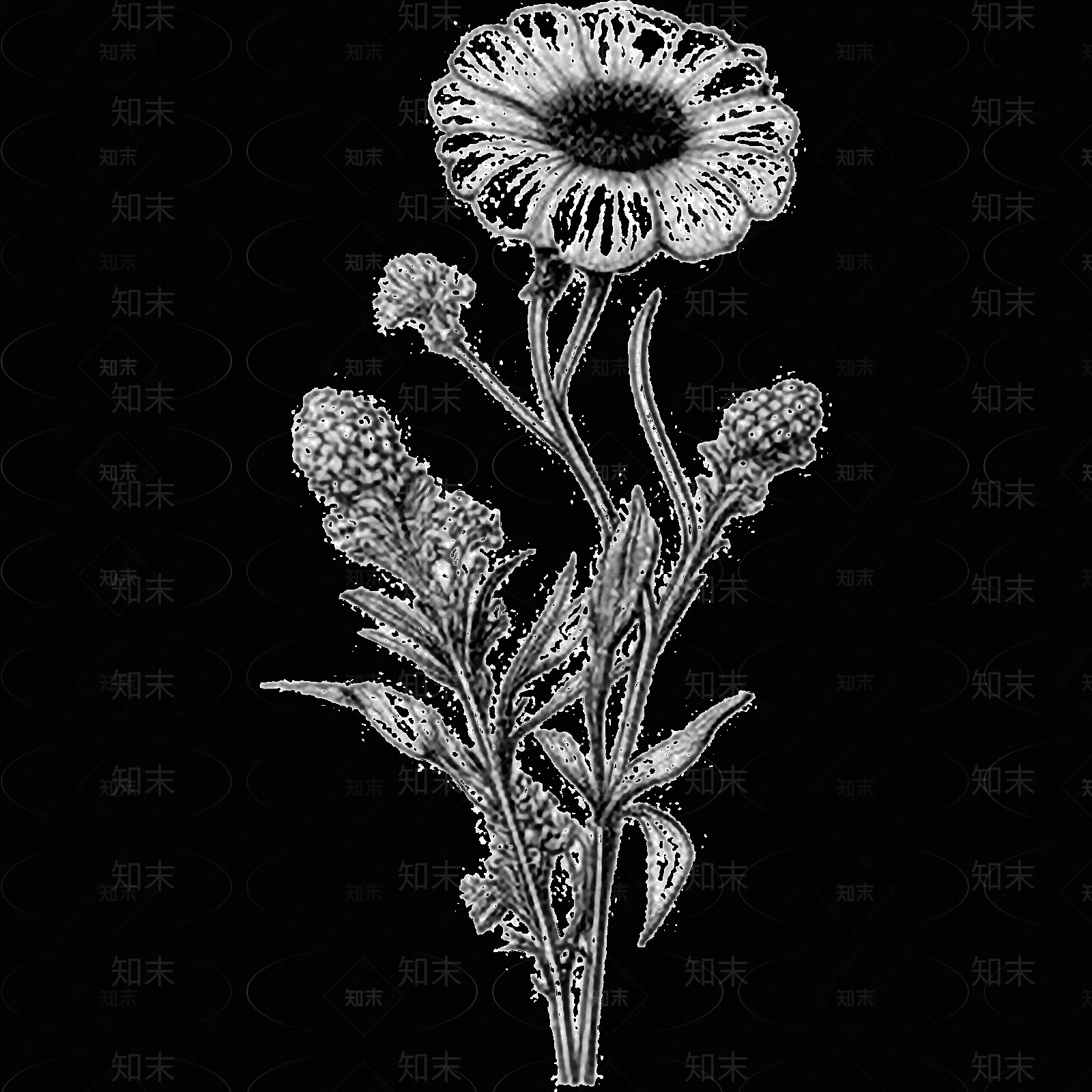 黑白凹凸贴图下载【ID:1173787167】