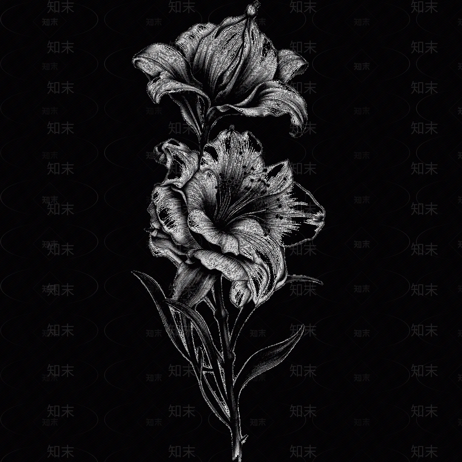 黑白凹凸贴图下载【ID:1173787619】