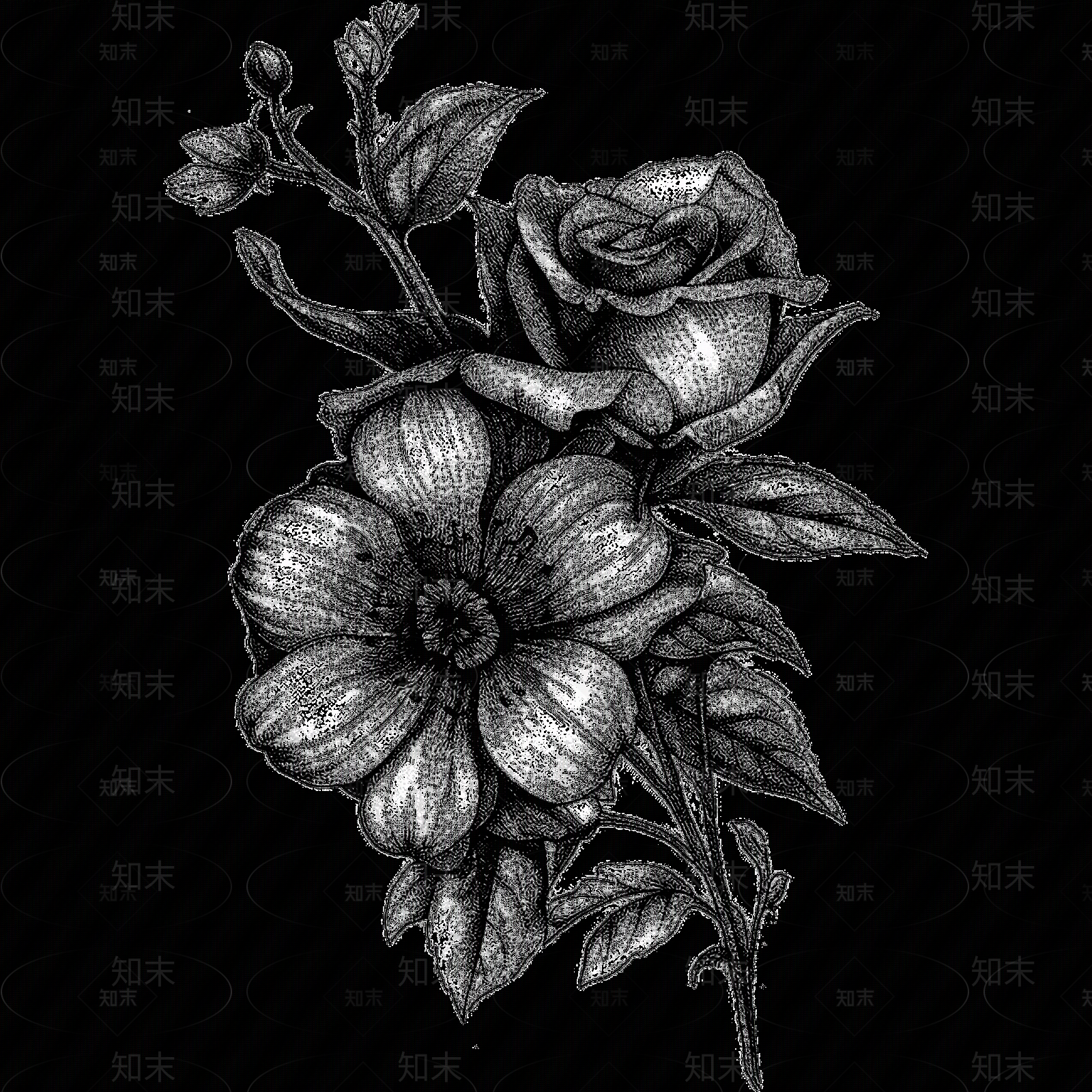 黑白凹凸贴图下载【ID:1173788333】