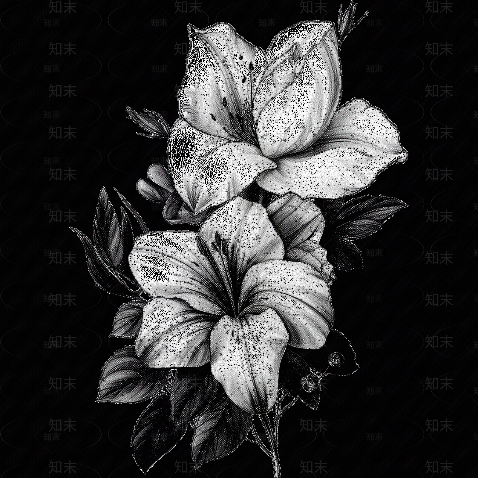 黑白凹凸贴图下载【ID:1173788512】