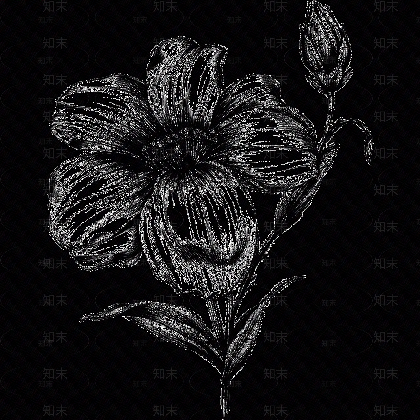 黑白凹凸贴图下载【ID:1173789107】