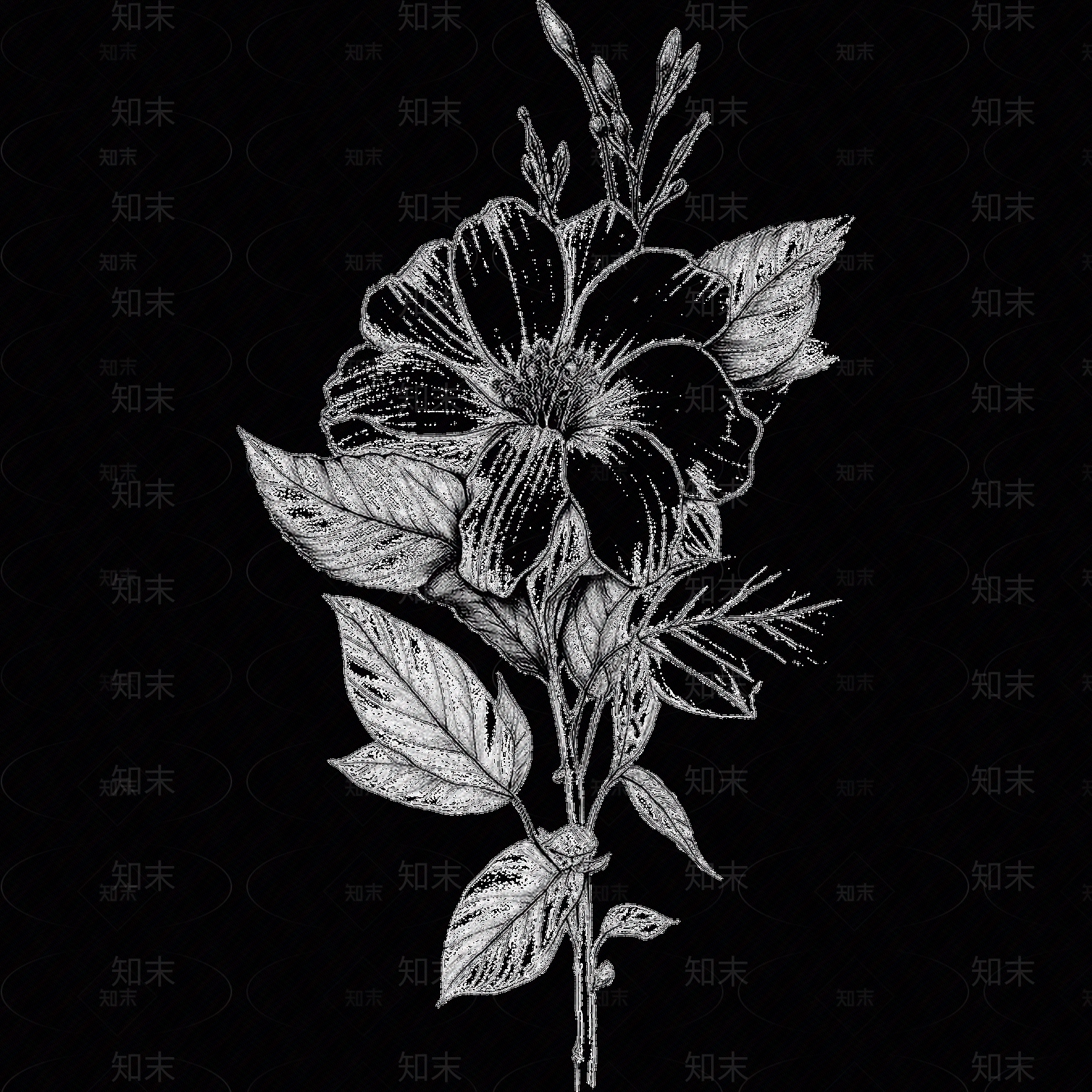 黑白凹凸贴图下载【ID:1173789501】