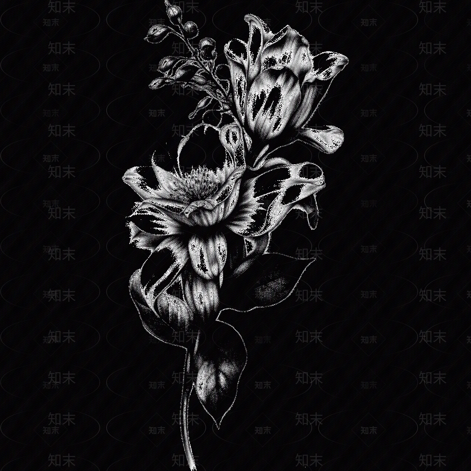 黑白凹凸贴图下载【ID:1173789680】