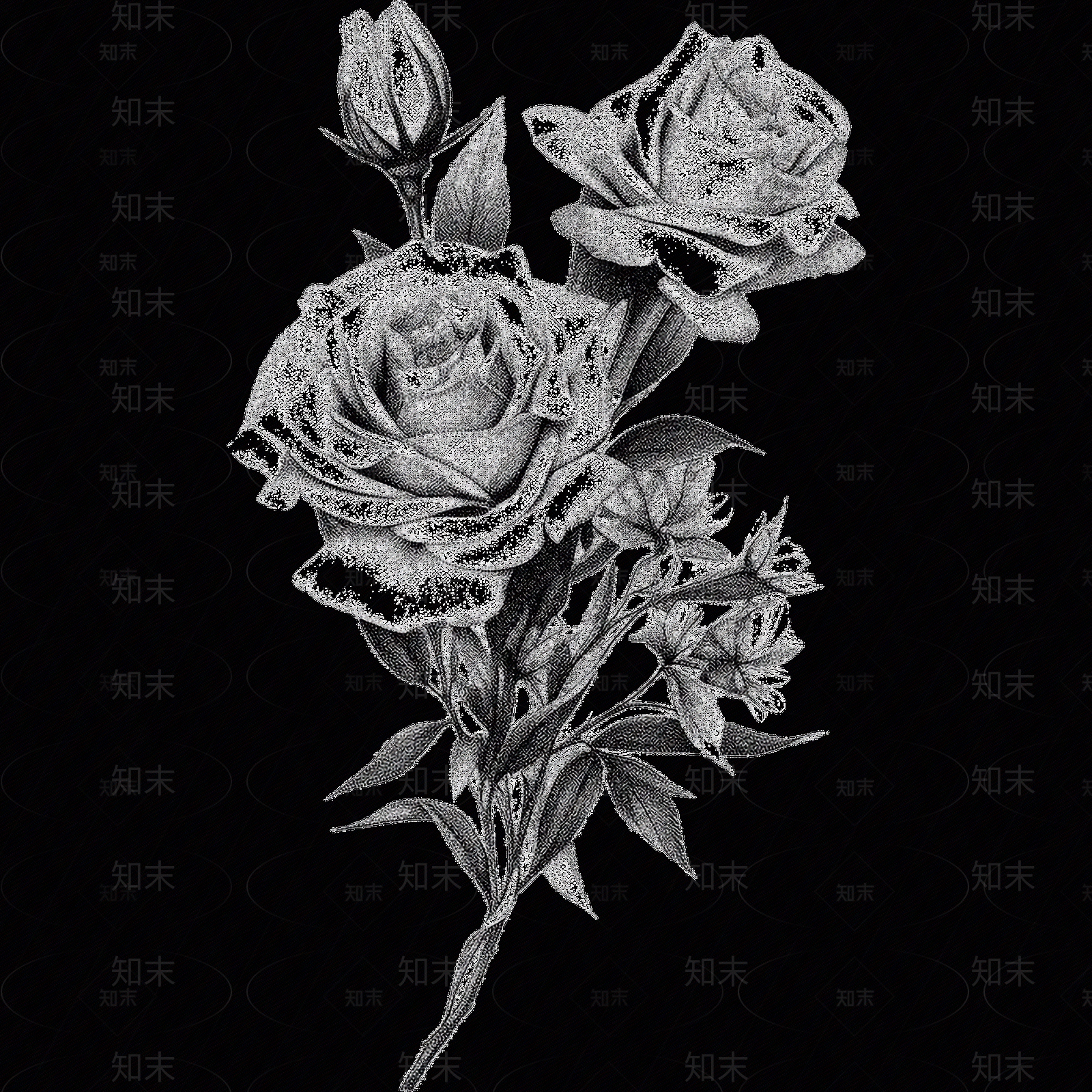 黑白凹凸贴图下载【ID:1173789948】