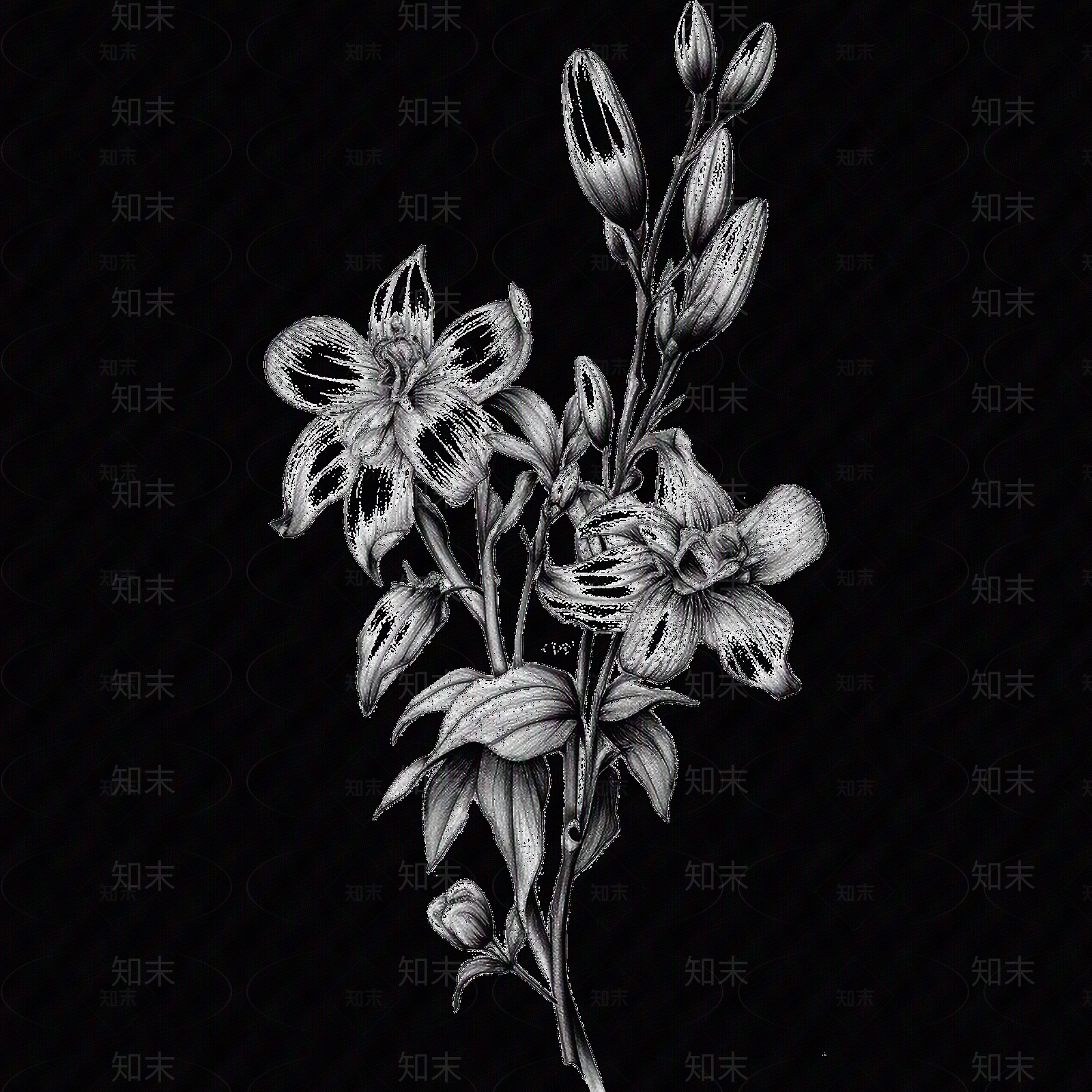 黑白凹凸贴图下载【ID:1173790132】