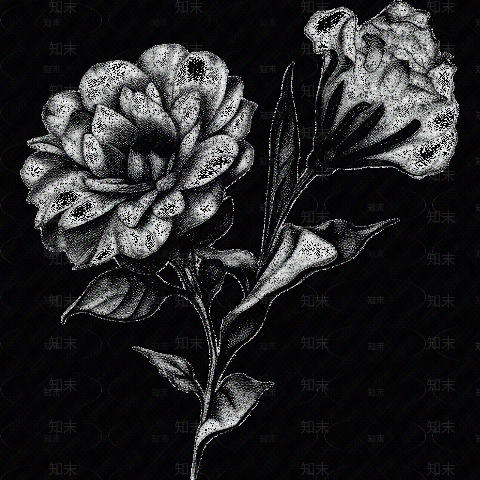 黑白凹凸贴图下载【ID:1173790498】