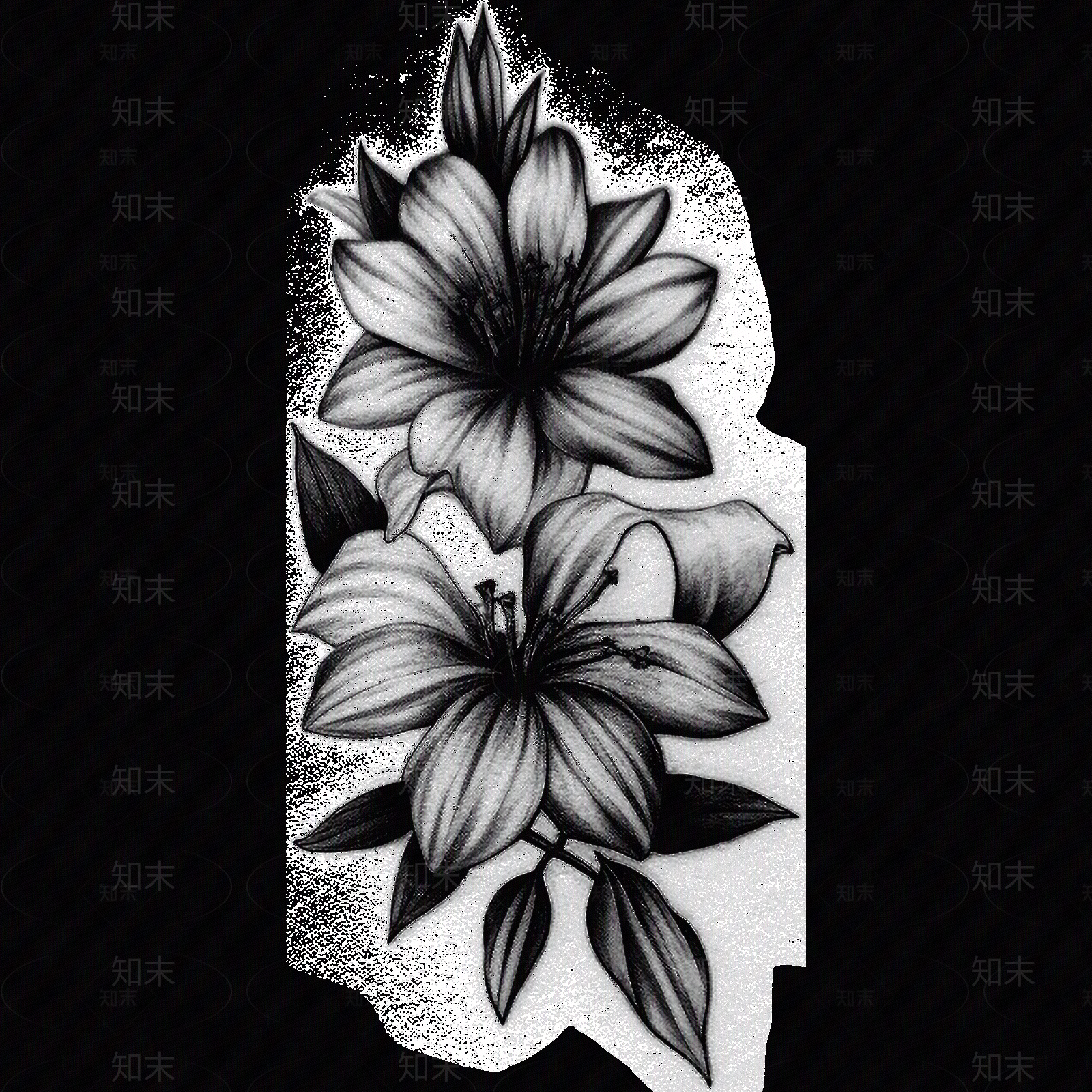 黑白凹凸贴图下载【ID:1173791134】