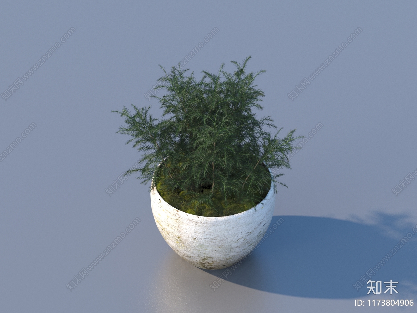 盆栽3D模型下载【ID:1173804906】