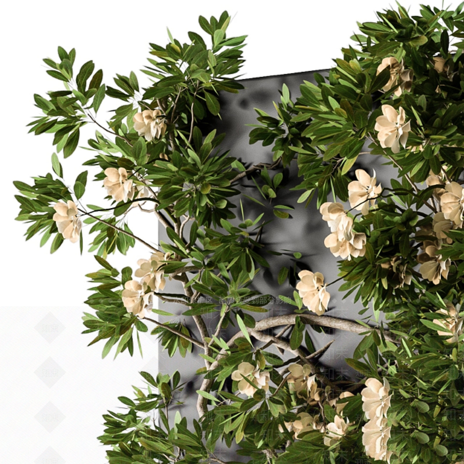 其他绿植3D模型下载【ID:1173850262】