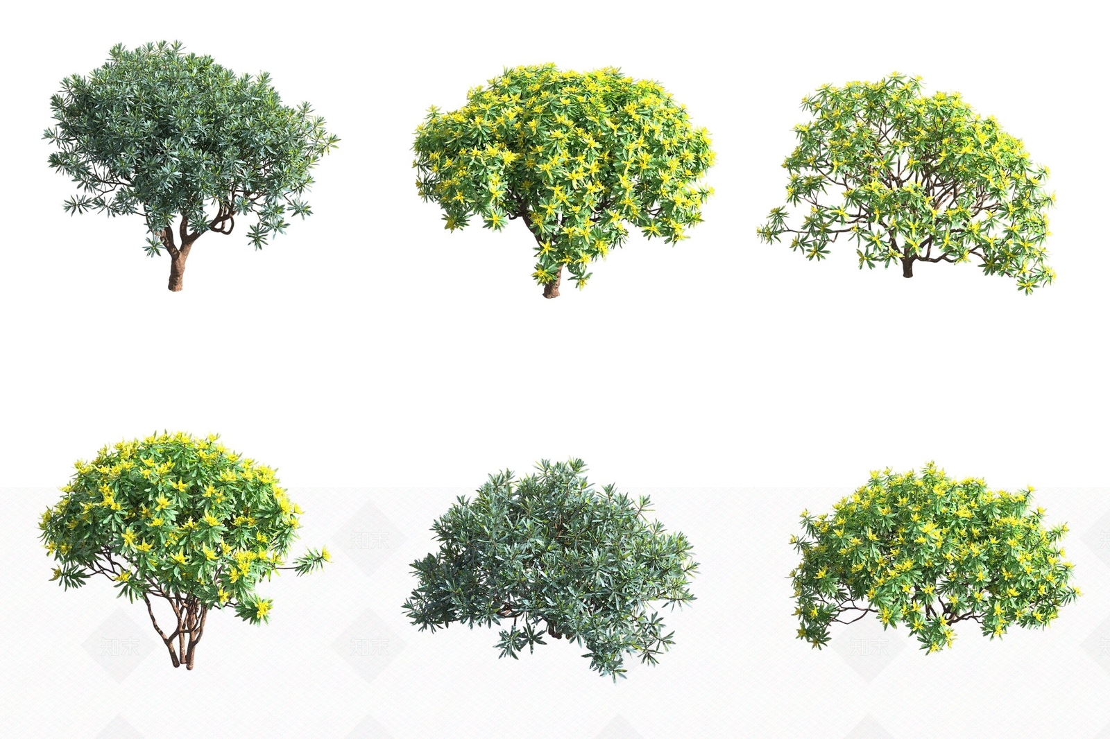 灌木3D模型下载【ID:1173853865】