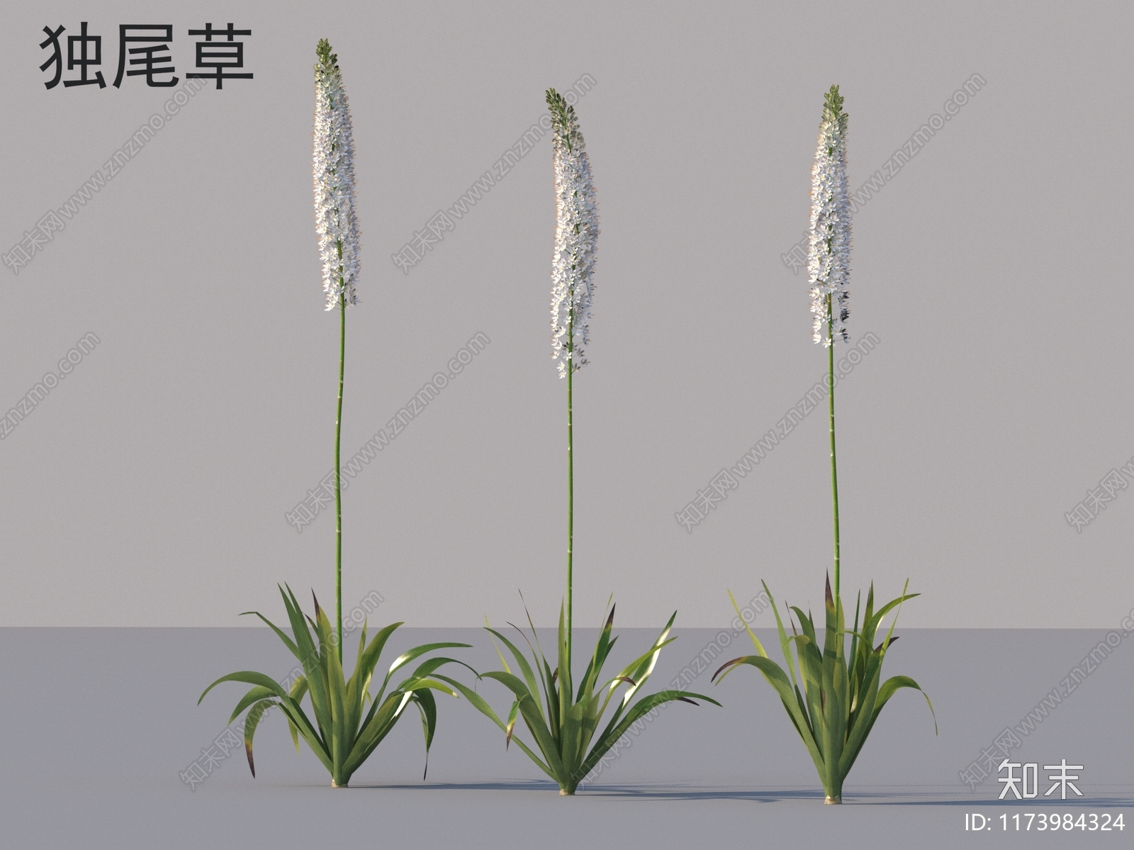 草3D模型下载【ID:1173984324】