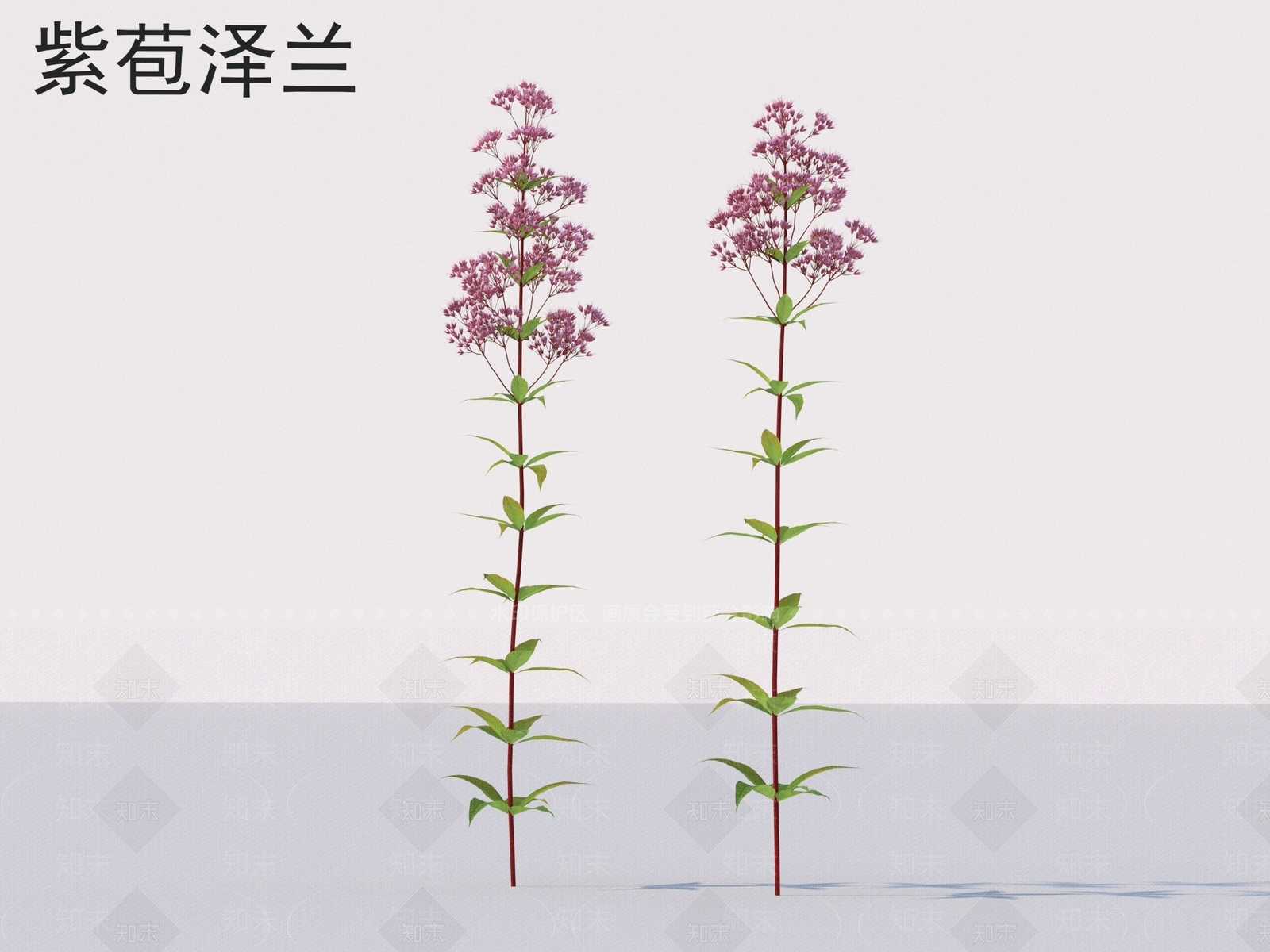 草3D模型下载【ID:1173984687】