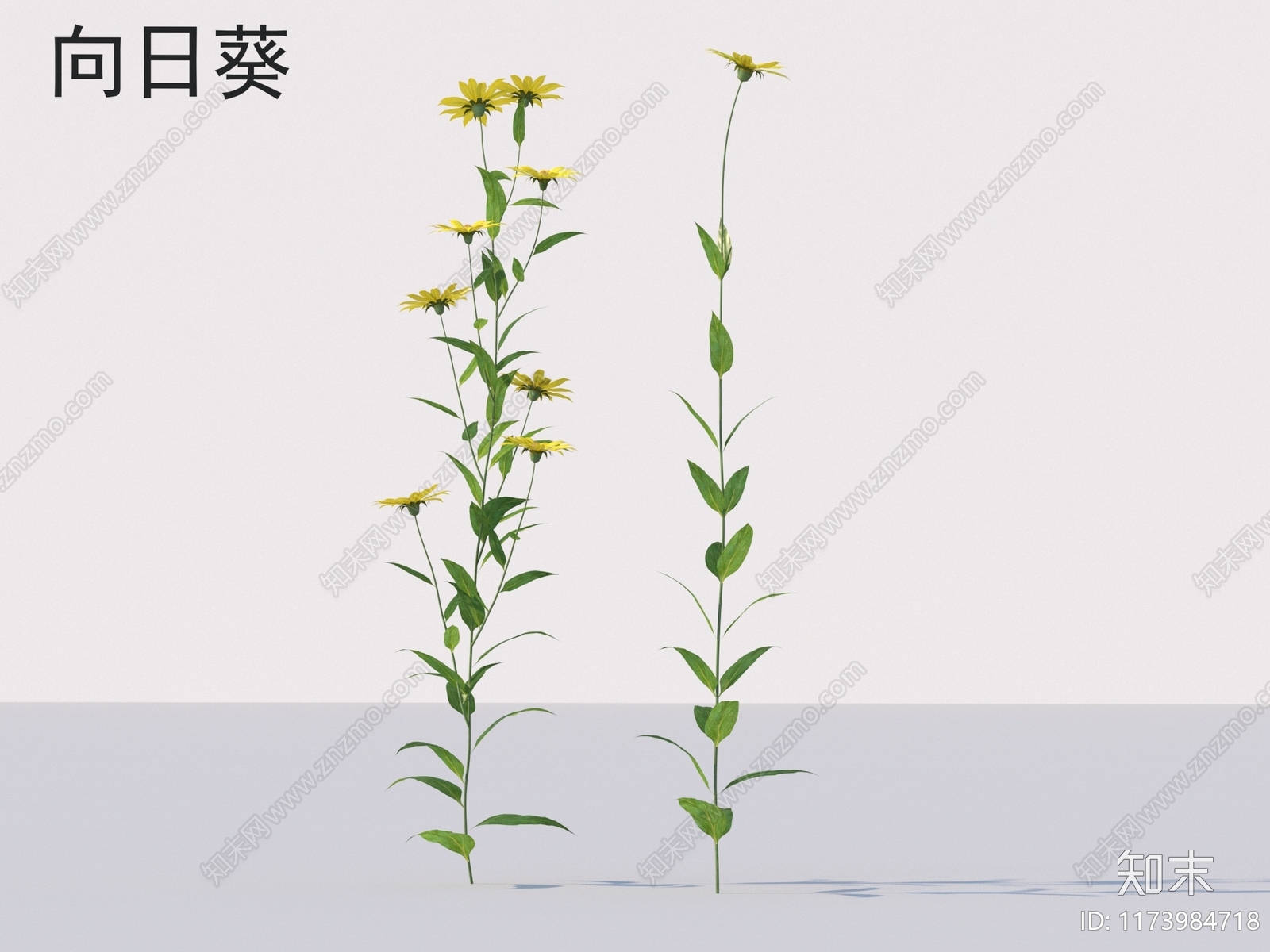 花3D模型下载【ID:1173984718】