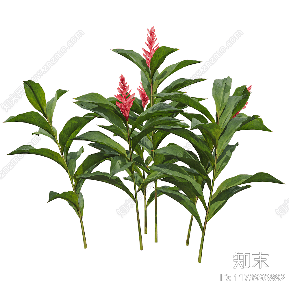 花草组合3D模型下载【ID:1173993992】