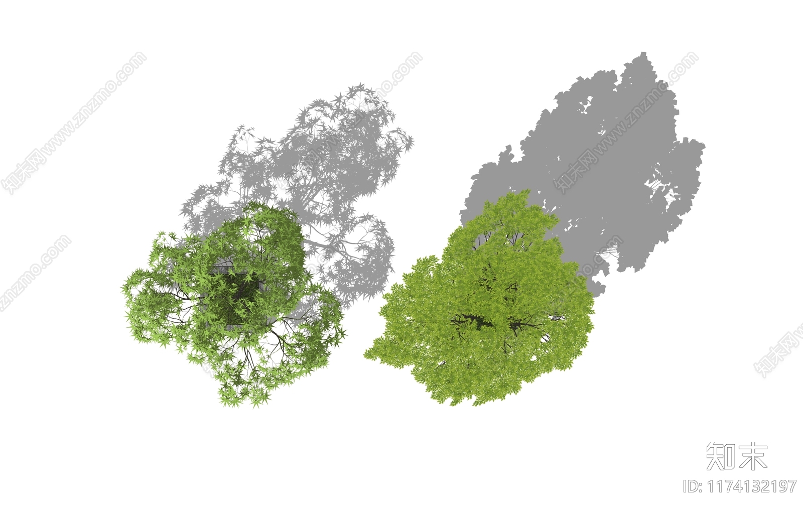 景观树3D模型下载【ID:1174132197】