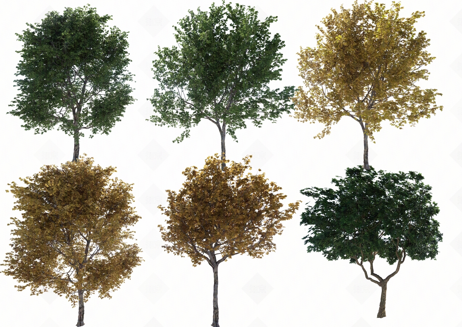 现代其它HDR贴图下载【ID:1174133231】