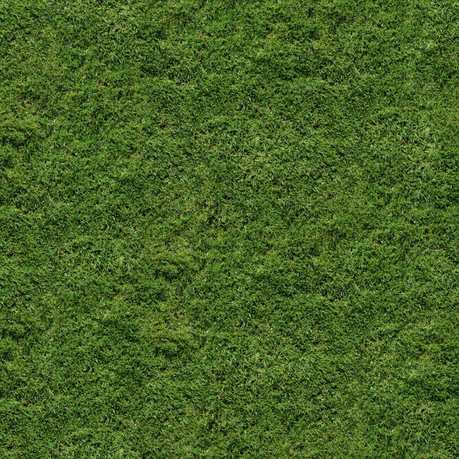 现代自然地面贴图下载【ID:1174136998】