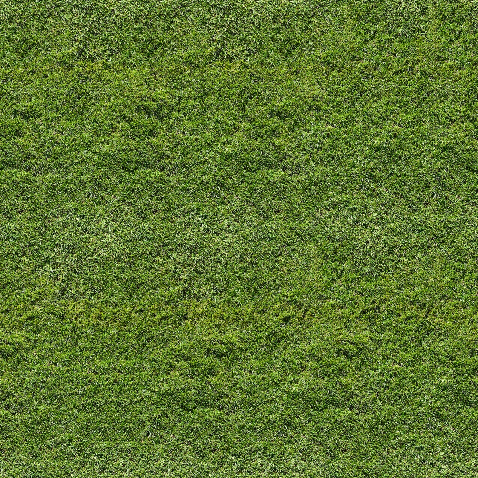 现代自然地面贴图下载【ID:1174137408】